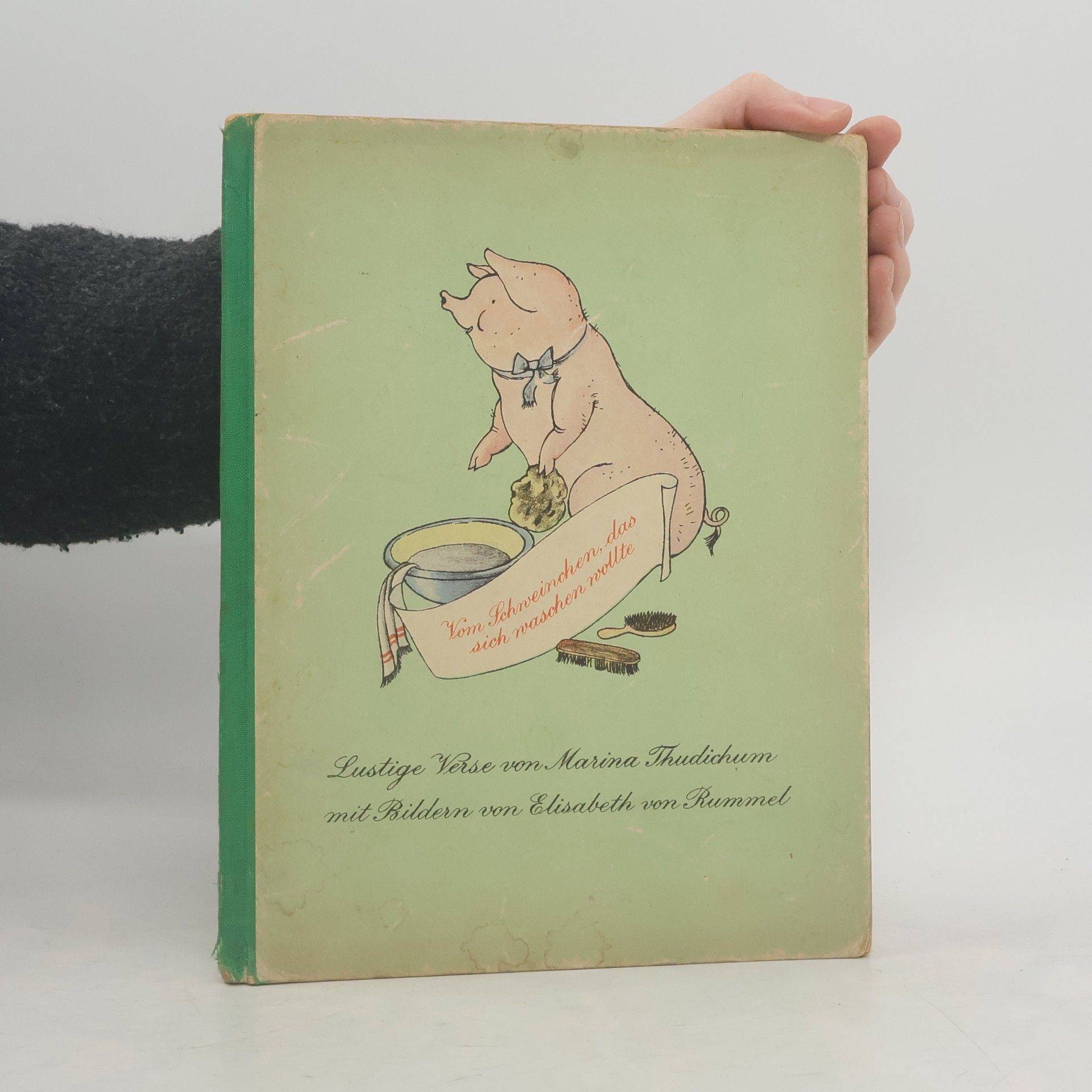 Marina Thudichum Vom Schweinchen, das sich waschen wollte