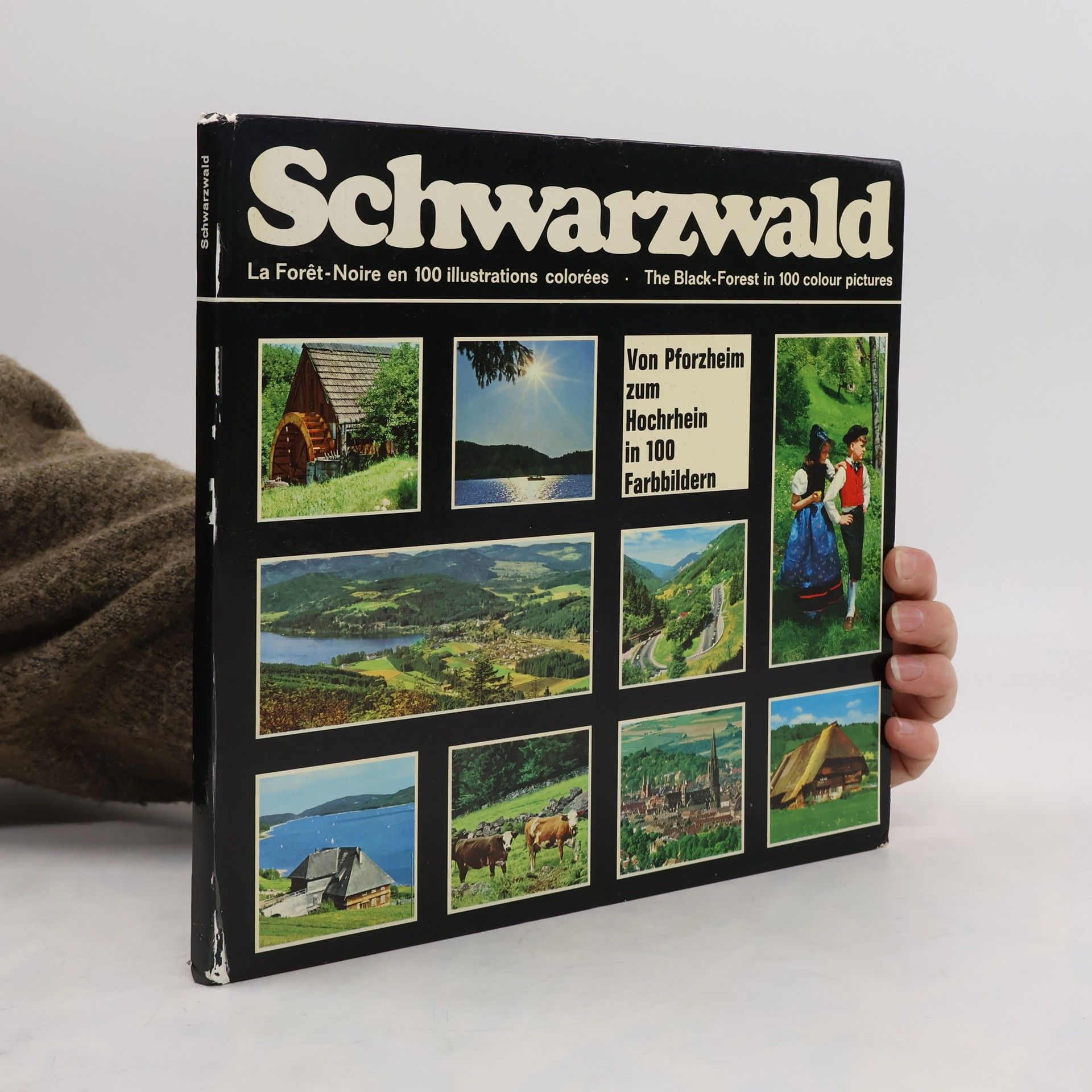 Thomas Kopp Schwarzwald. Von Pforzheim zum Hochrhein in 100 Farbbildern