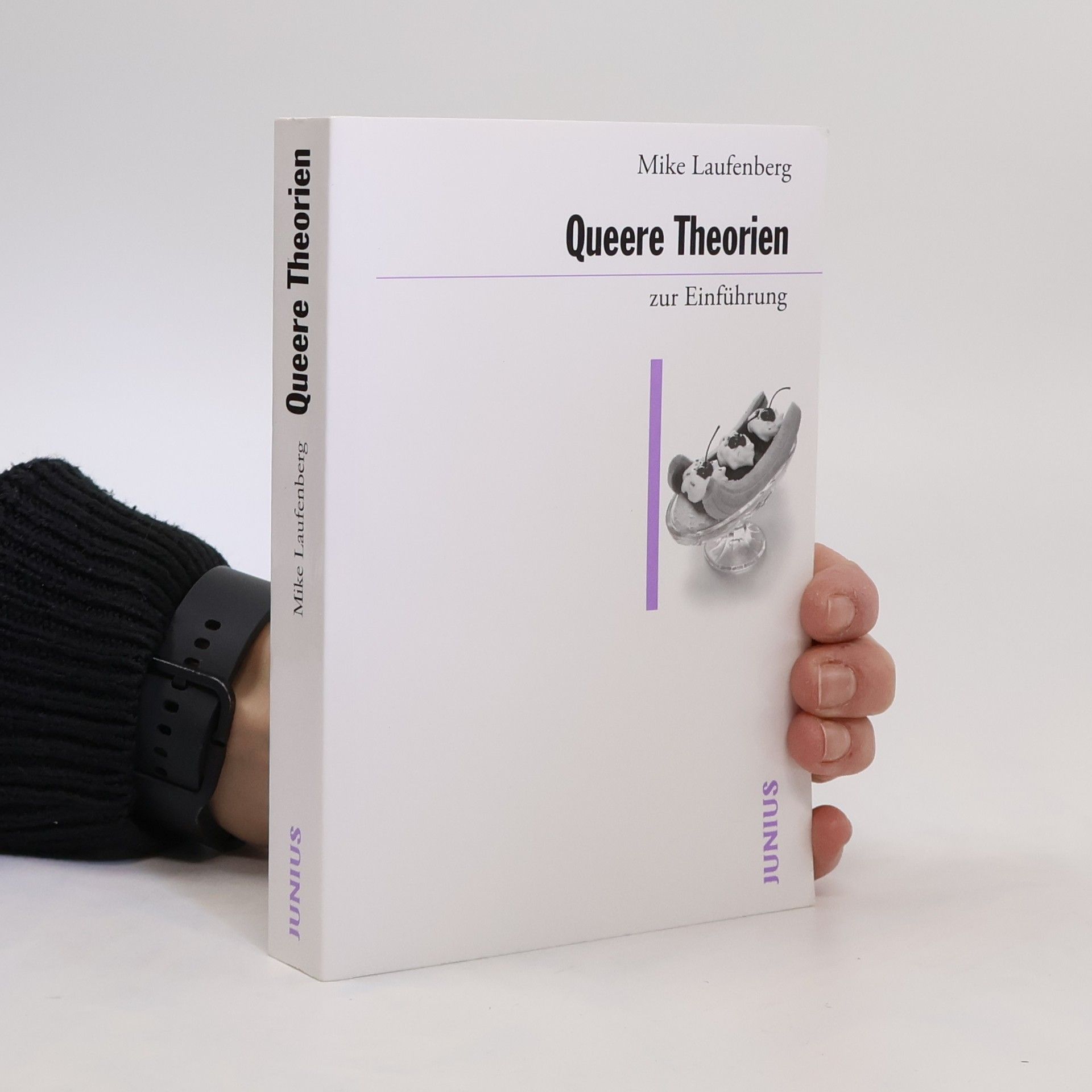 Mike Laufenberg Queere Theorien zur Einführung