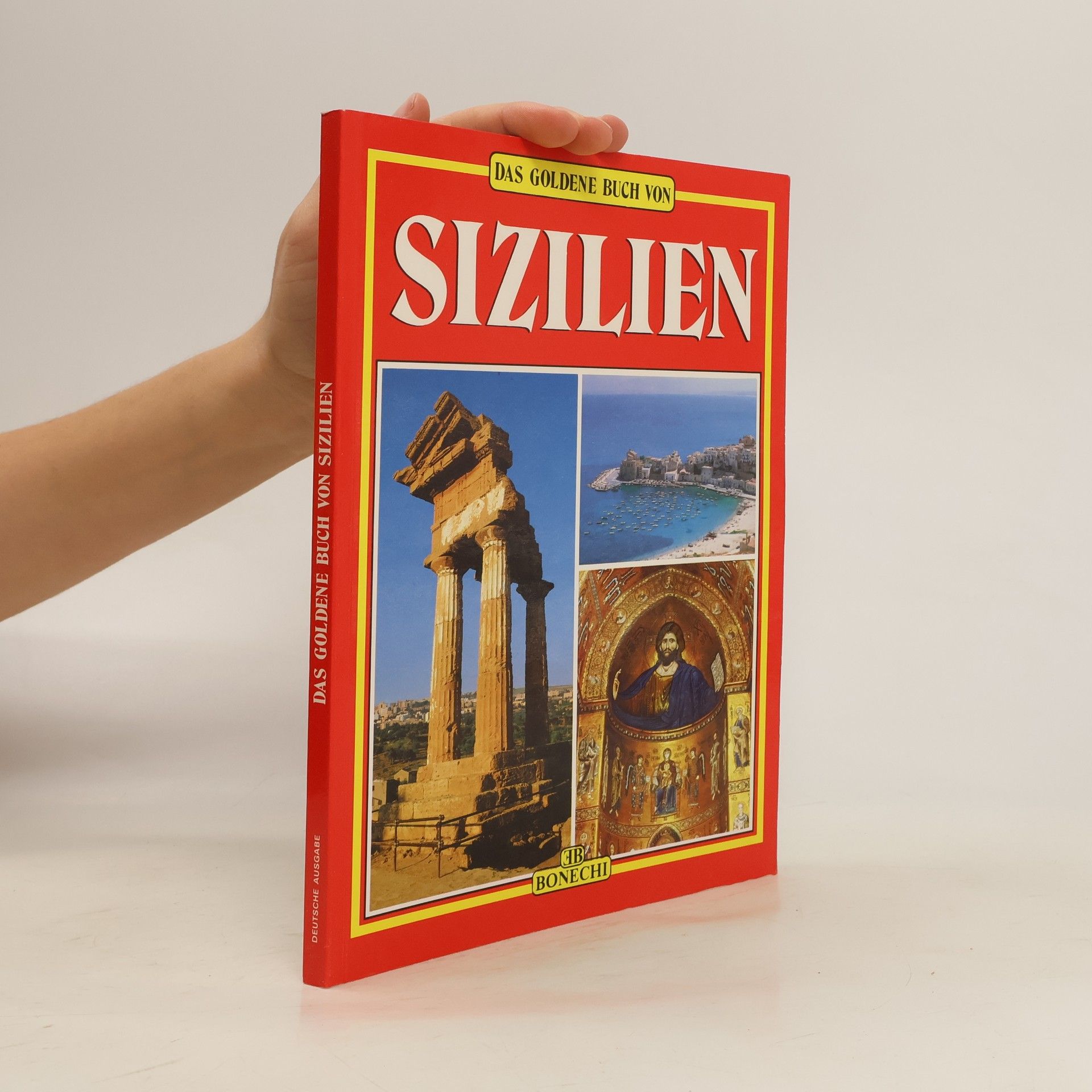 Giuliano Valdes Das goldene Buch von Sizilien