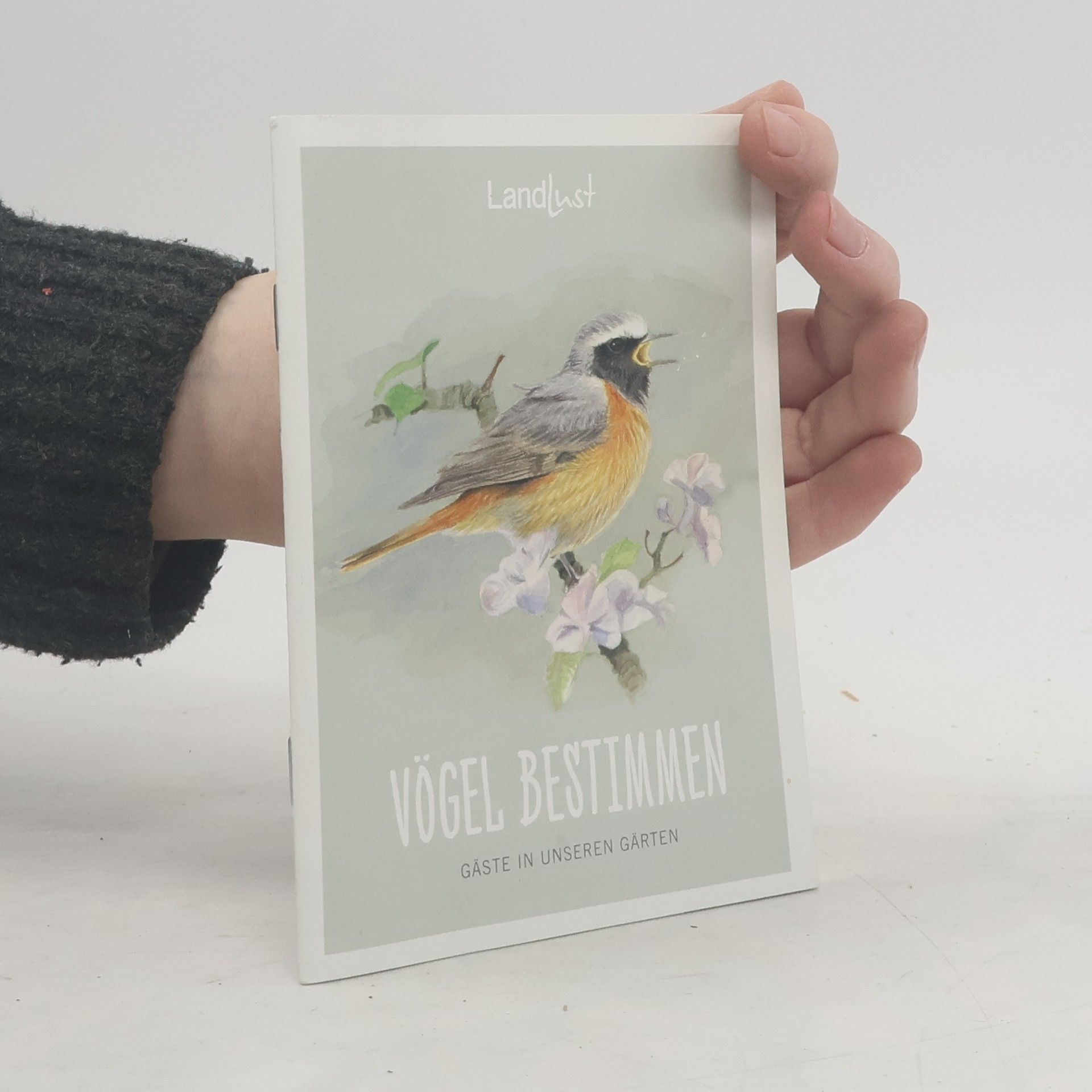 Kolektív autorov Vögel Bestimmen