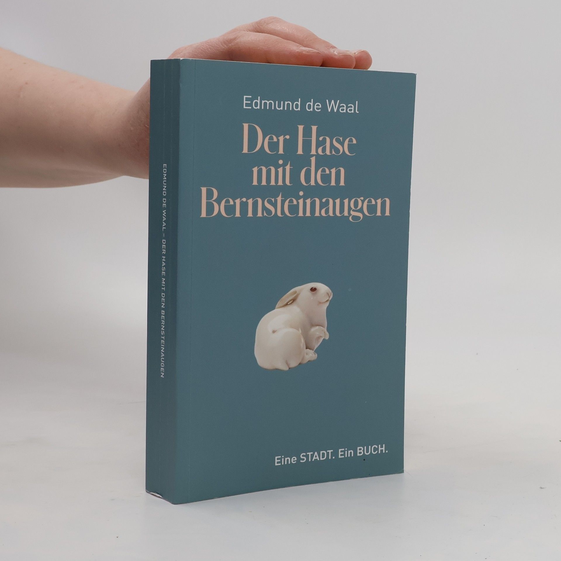 Edmund De Waal Der Hase mit den Bernsteinaugen
