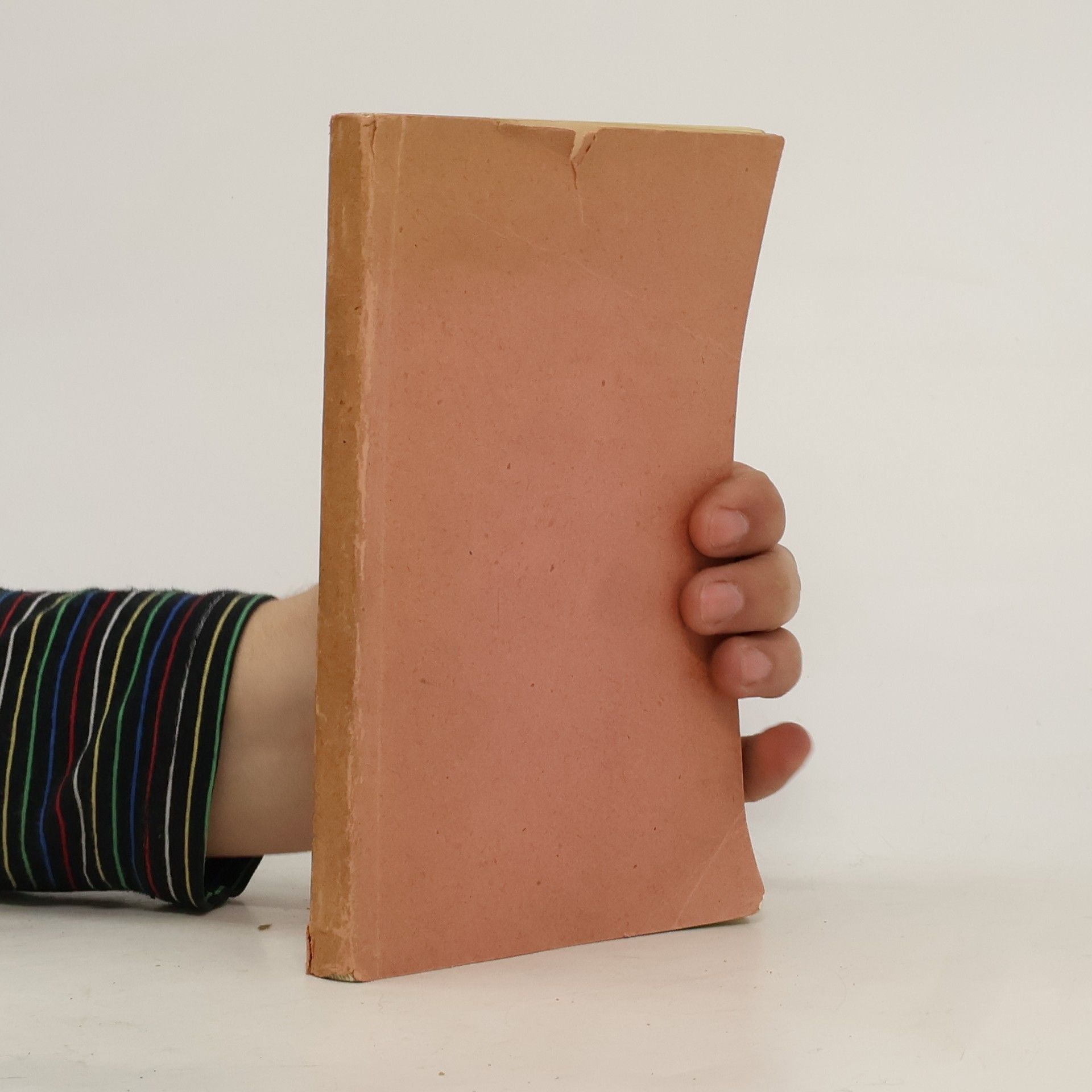 Anton Mayr-Harting Das Liederbuch