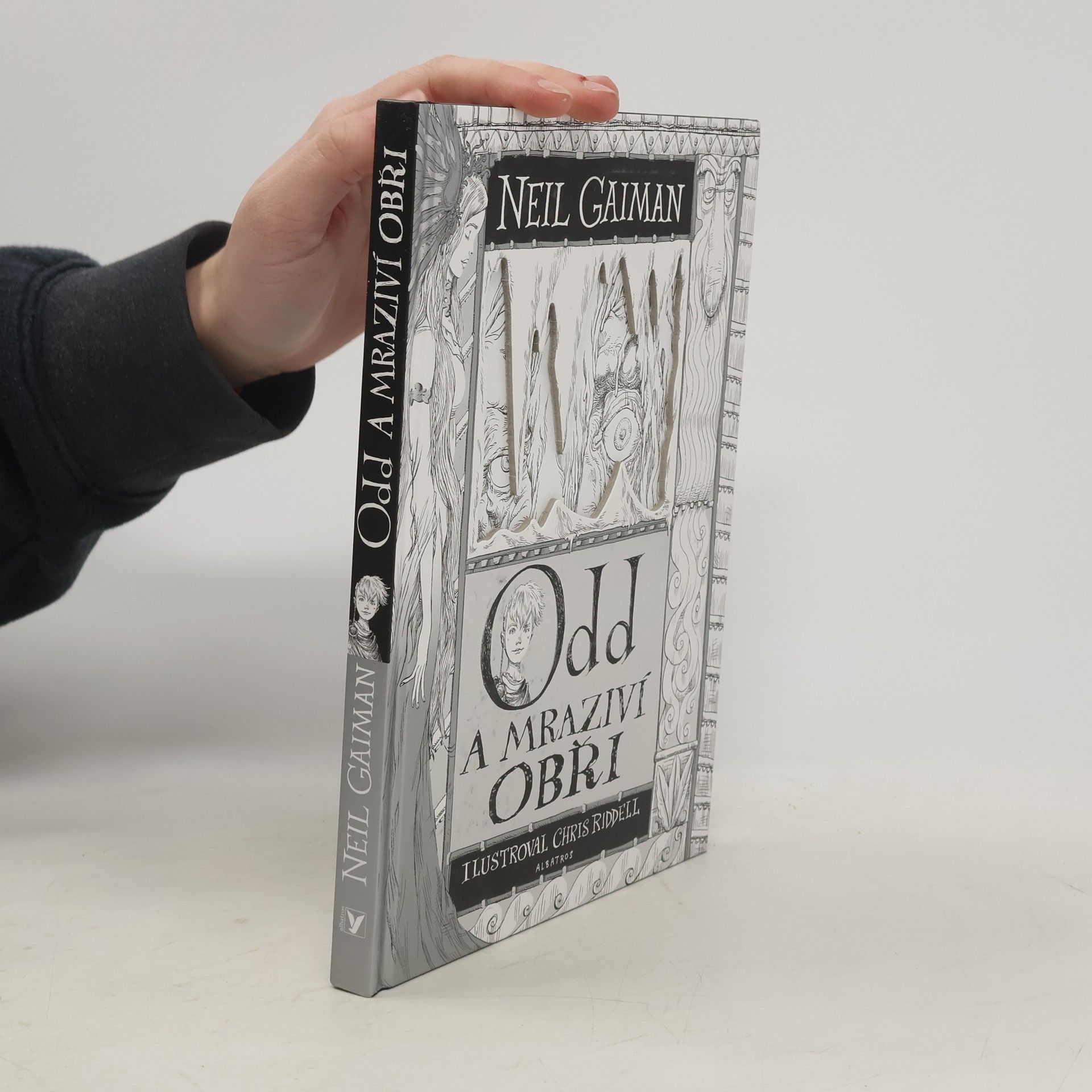 Neil Gaiman Odd a mraziví obři