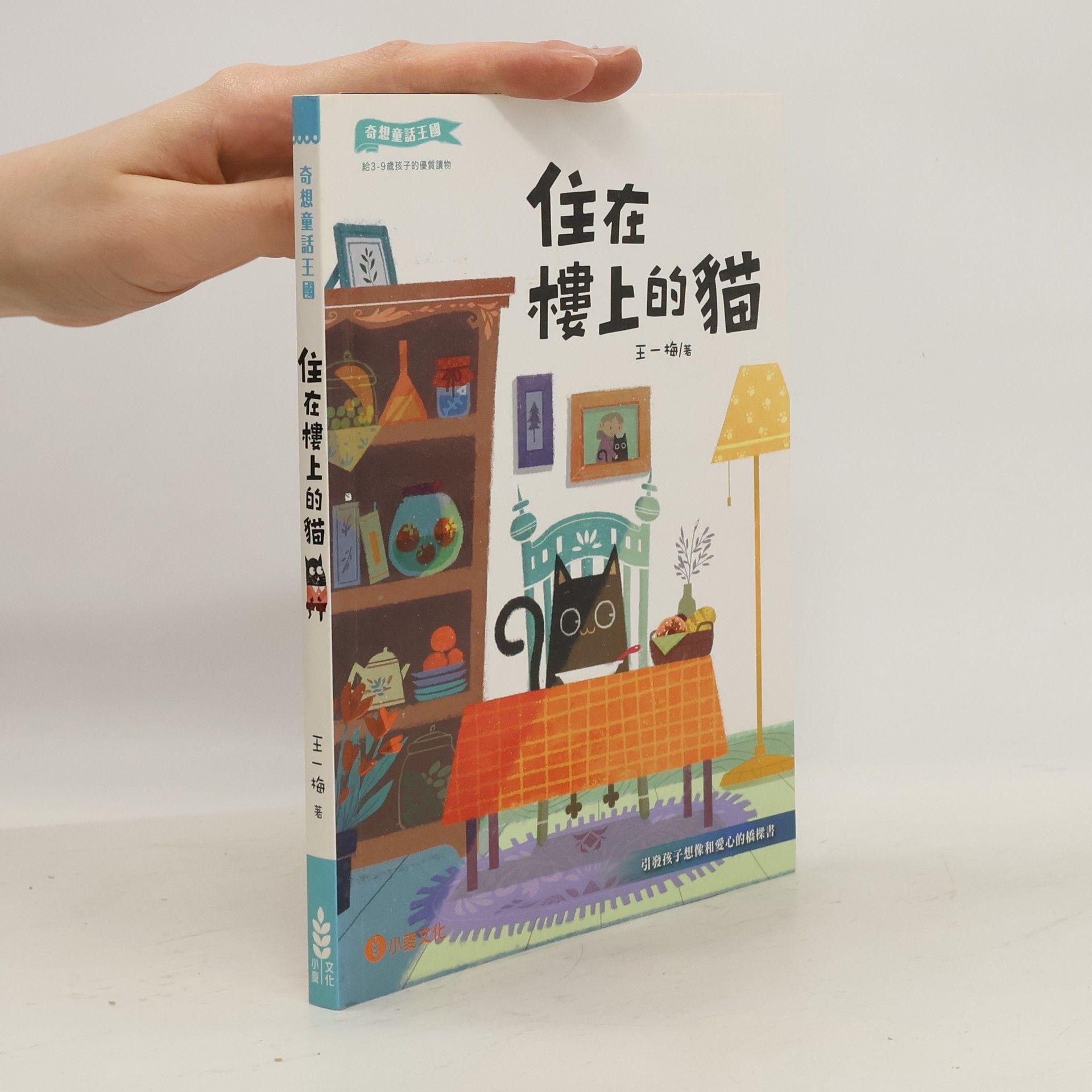 kolektiv 住在樓上的貓