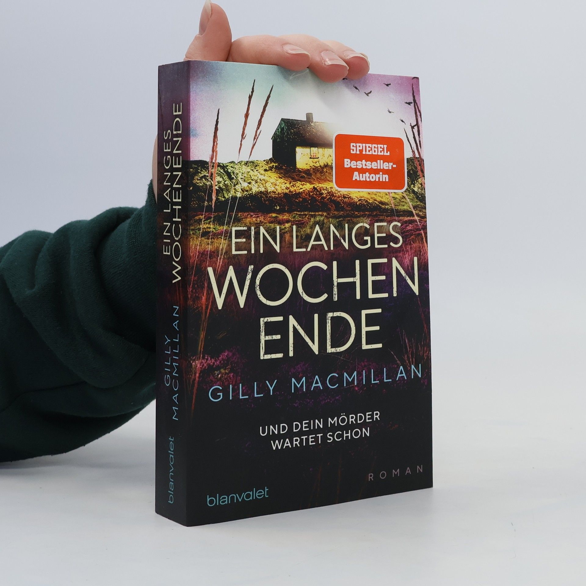 Gilly Macmillan Ein langes Wochenende