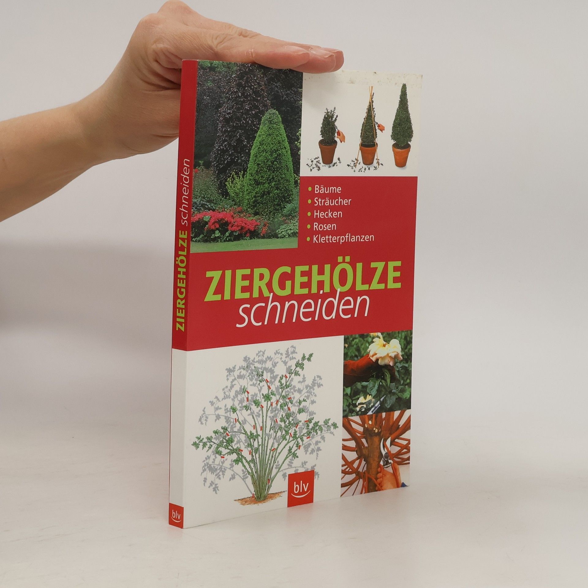 Karen Cochrane Ziergehölze schneiden
