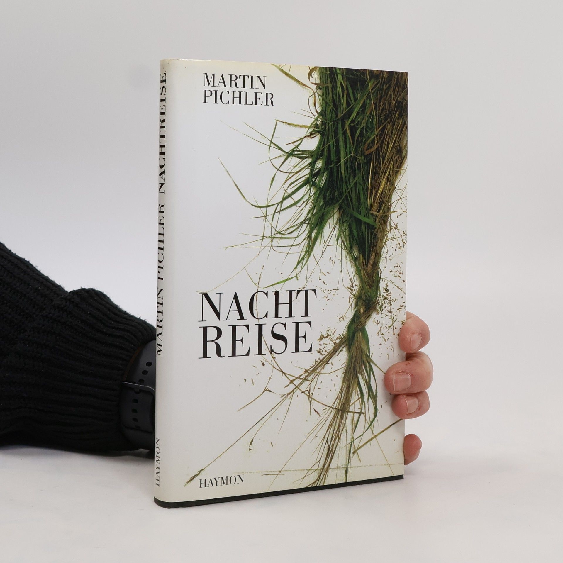 Martin Pichler Nachtreise