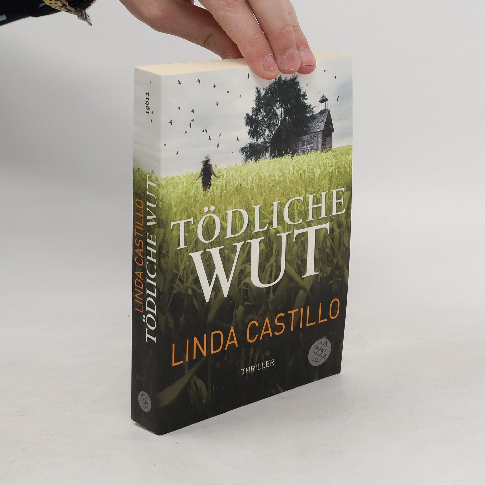 Linda Castillo Tödliche Wut