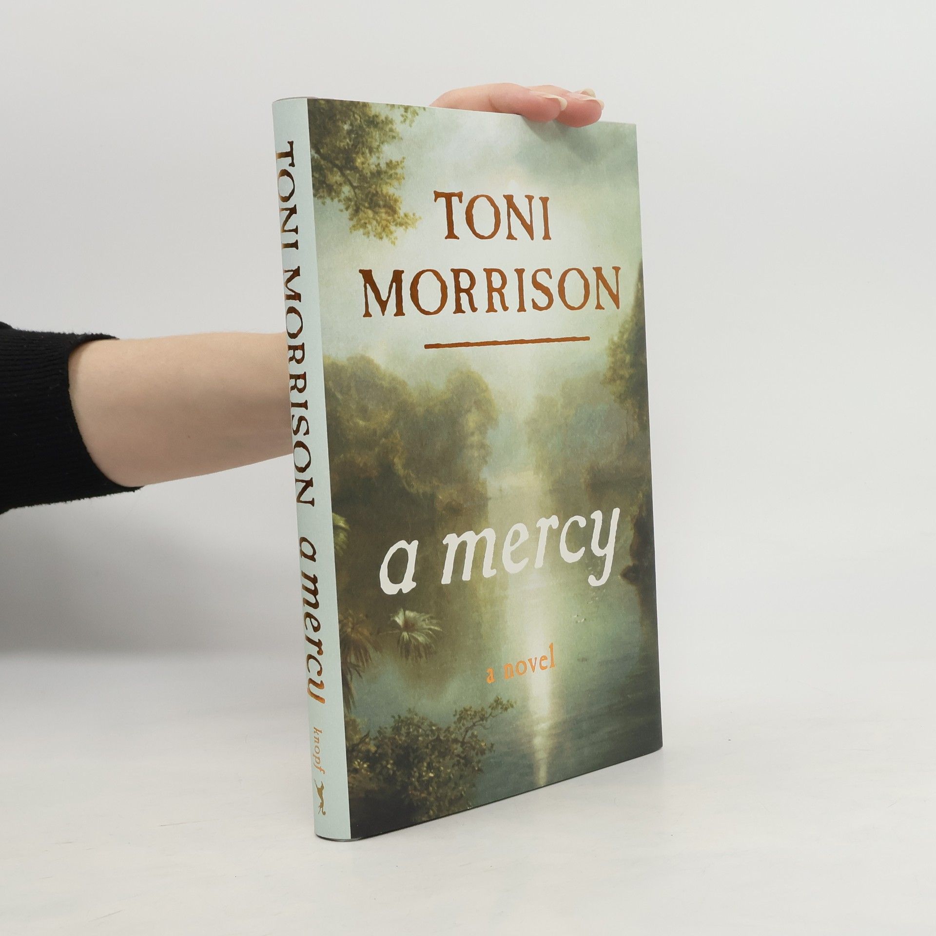 Toni Morrison A Mercy