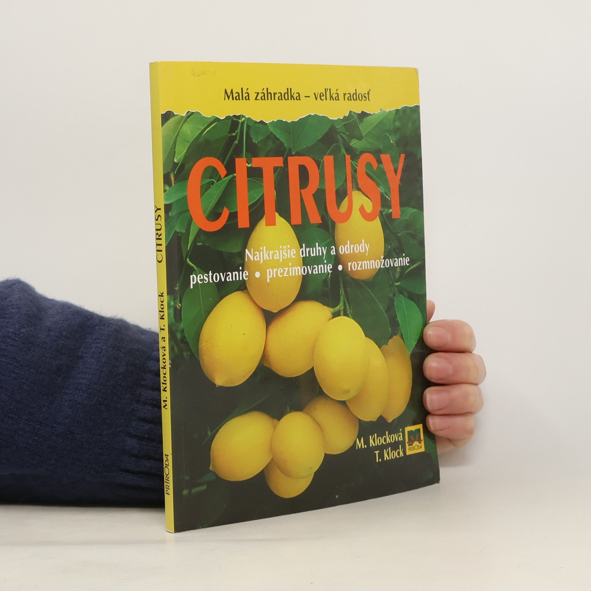 Monika Klock Citrusy
