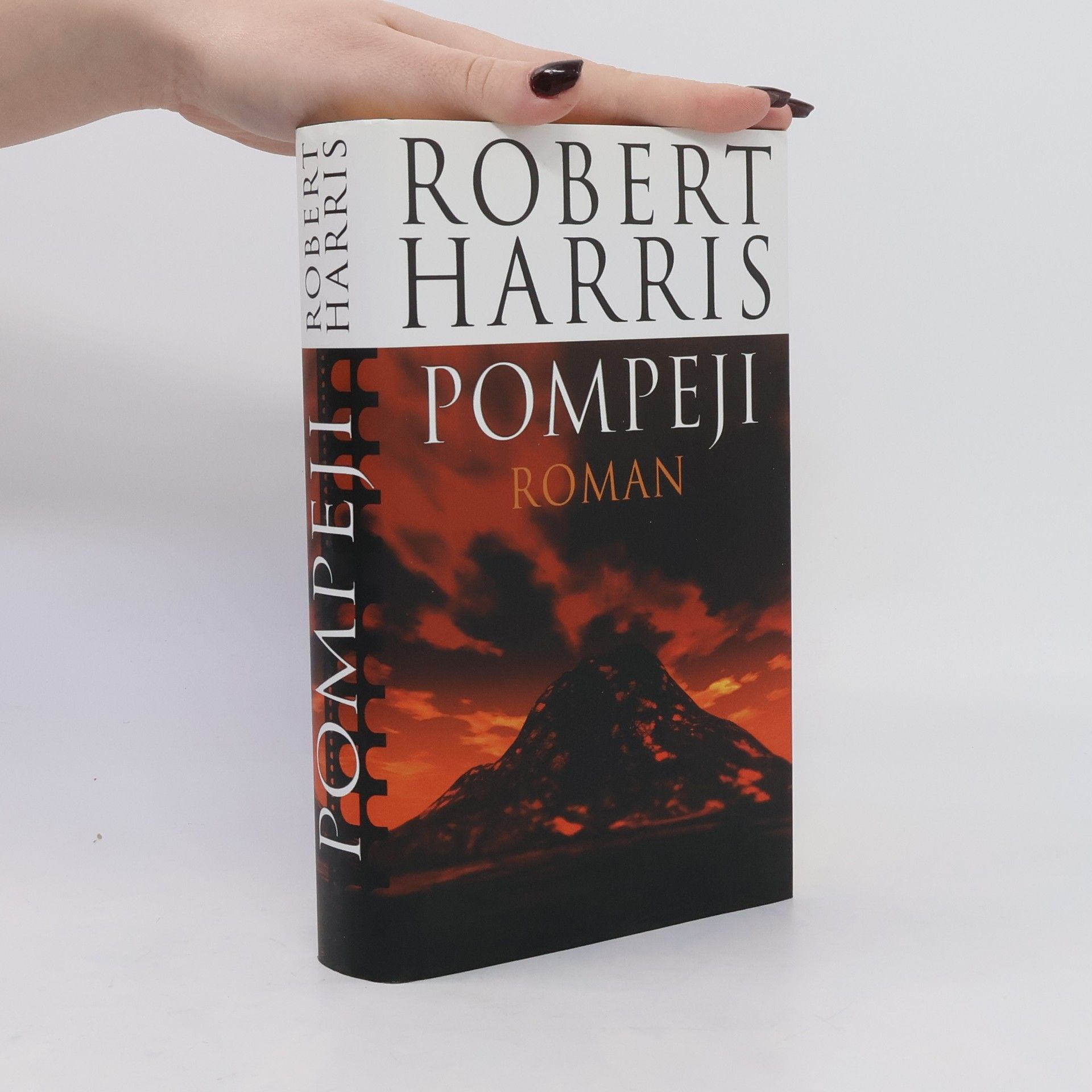 Robert Harris Pompeji