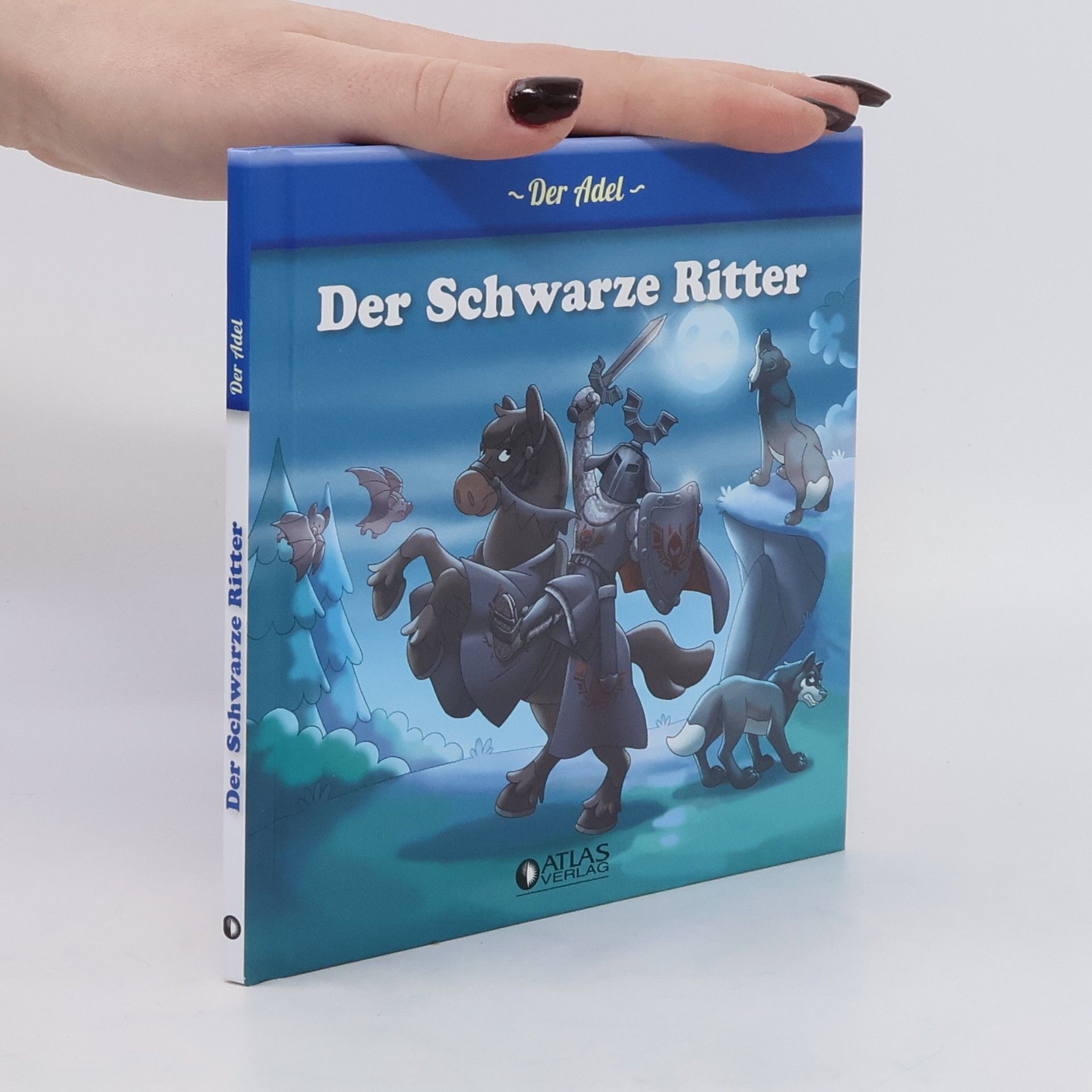 Autorenkollektiv Der Schwarze Ritter