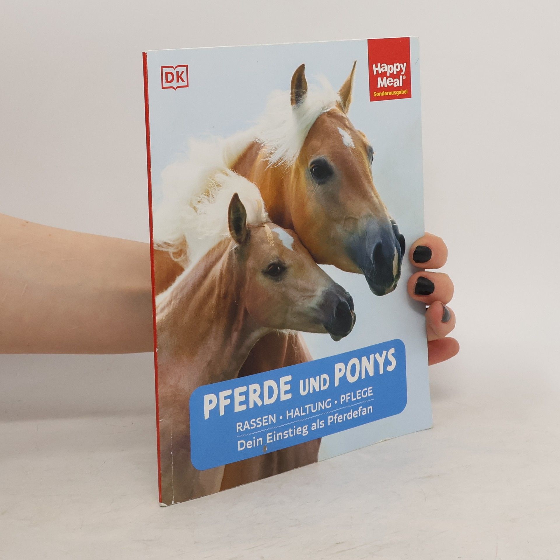 Bettina Borst Pferde und Ponys