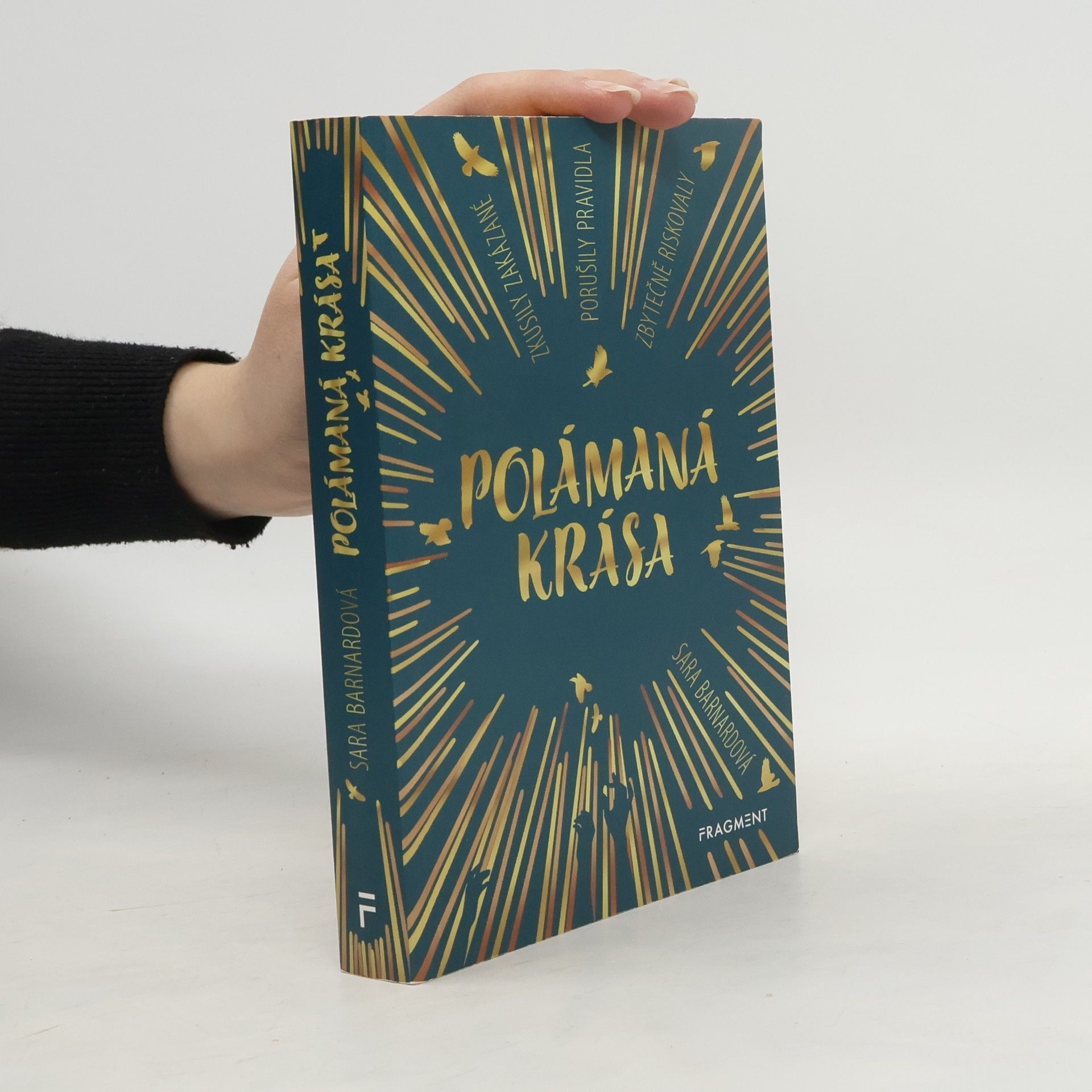 Sara Barnard Polámaná krása