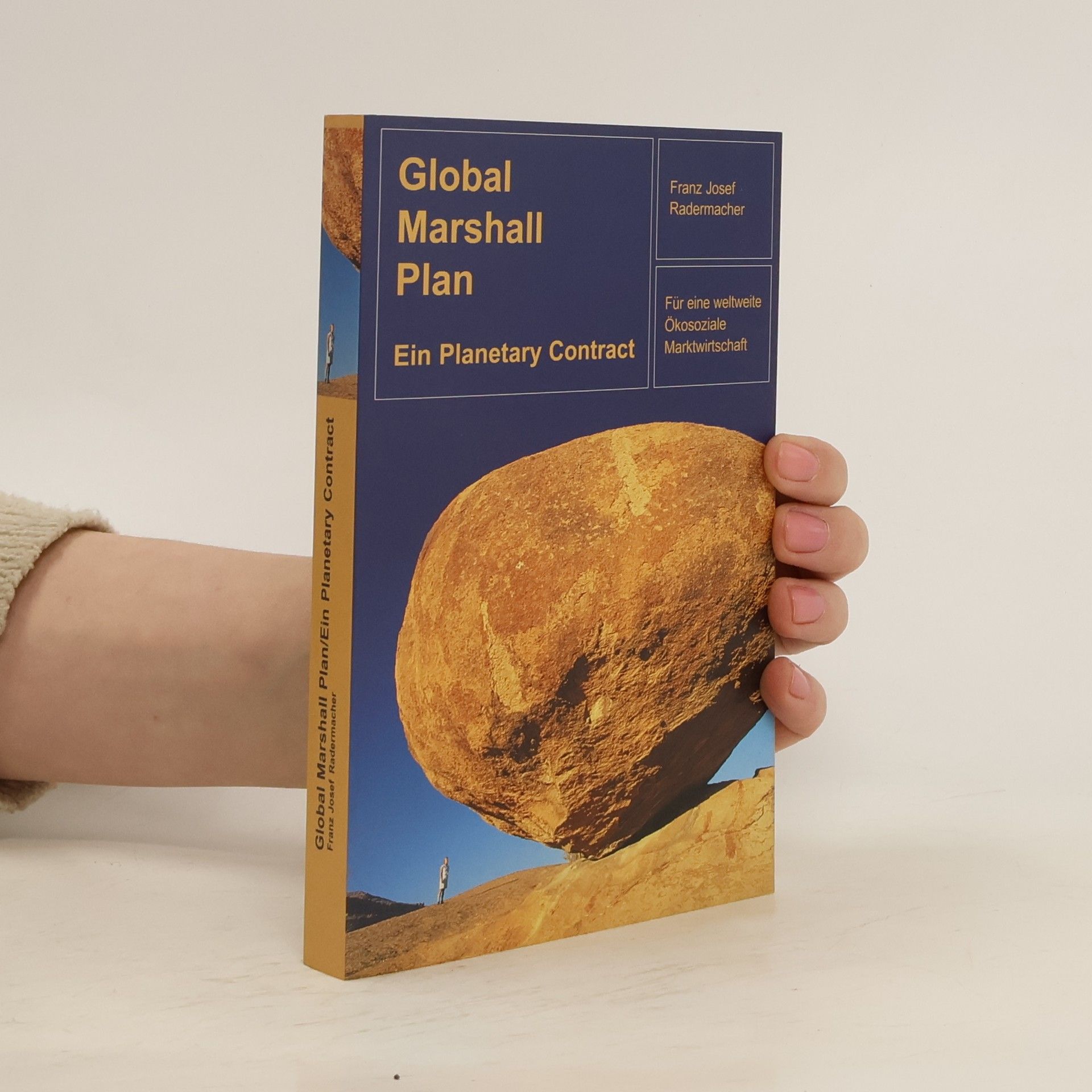 Franz Josef Radermacher Global Marshall Plan