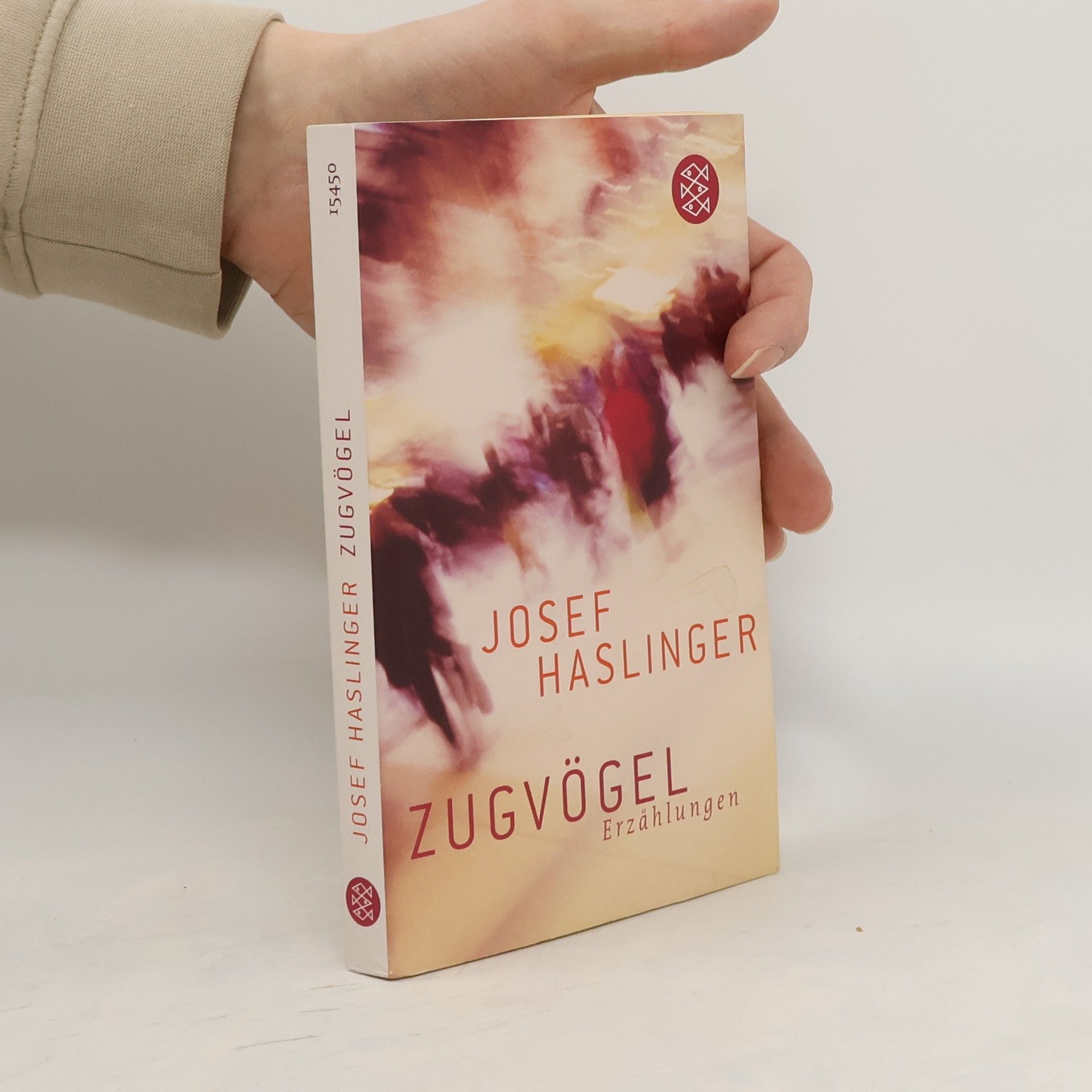 Josef Haslinger Zugvögel