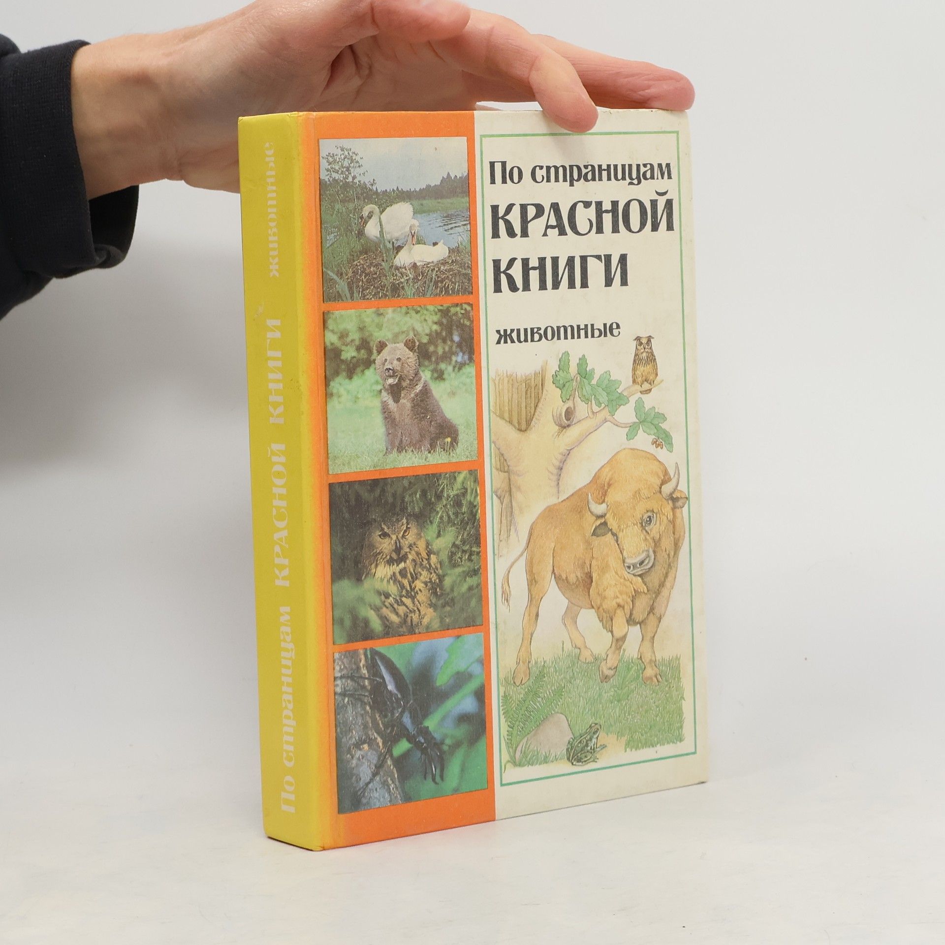 Collectif d'auteurs По страницам красной книги. Животные