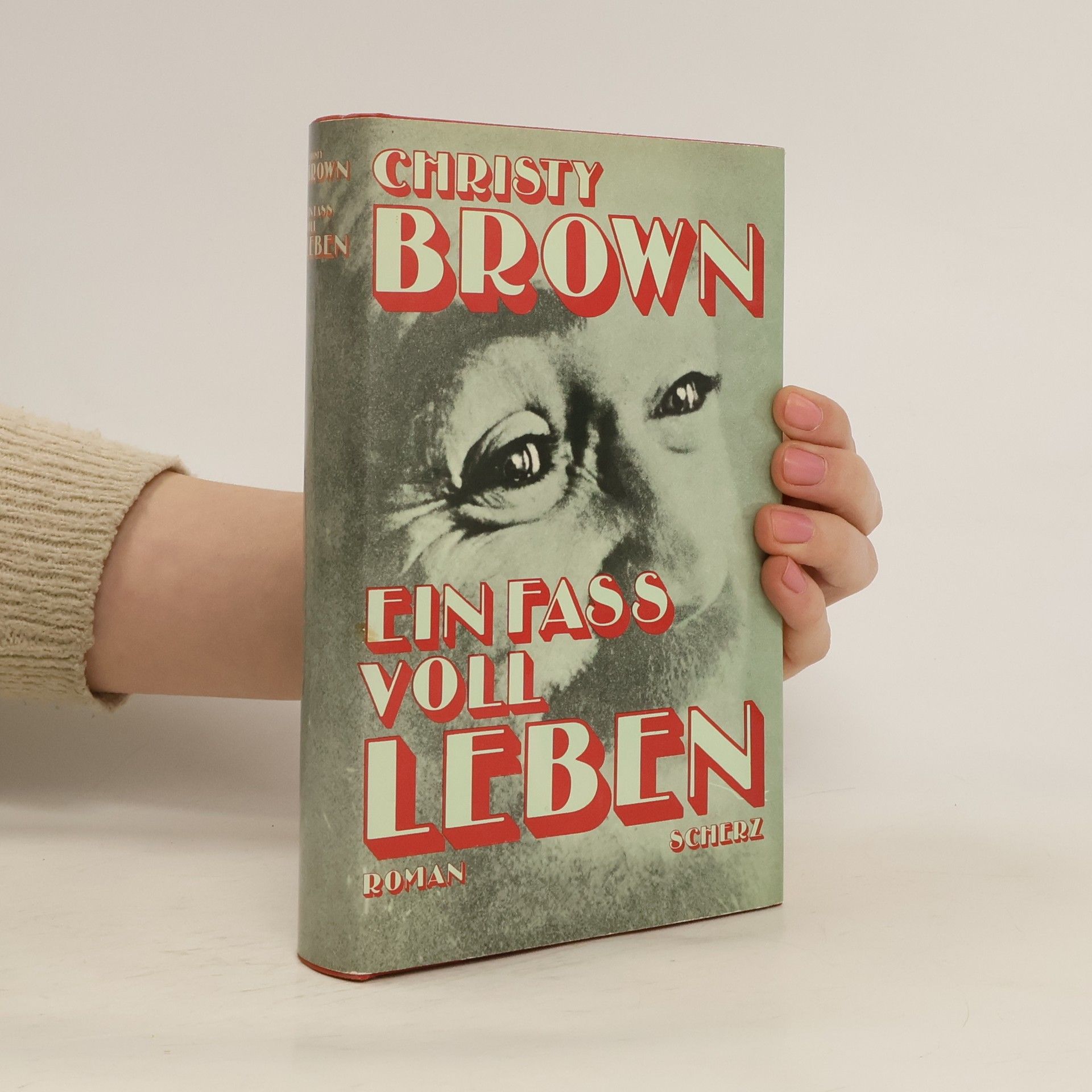 Christy Brown Ein Fass voll Leben