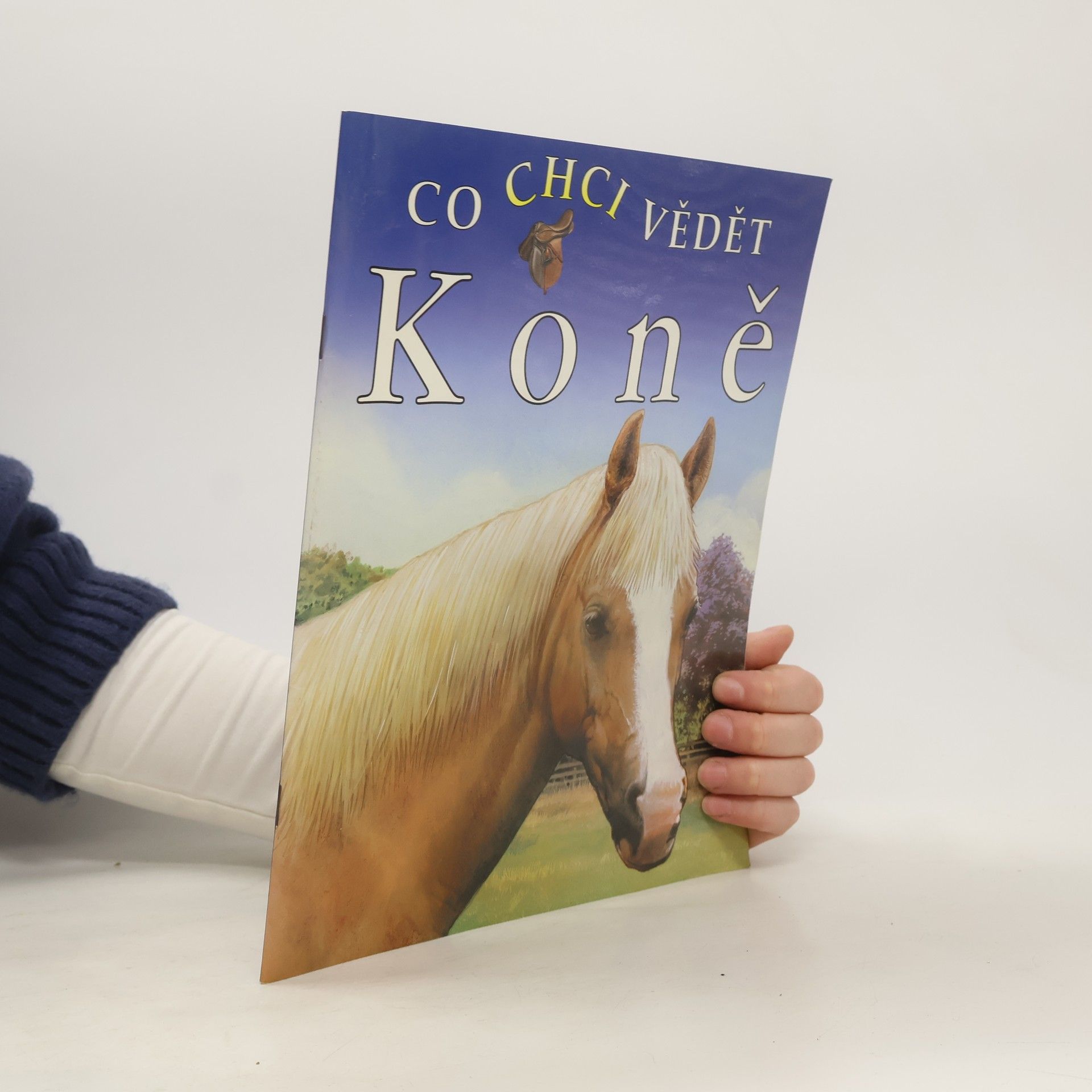 Jackie Budd Co chci vědět - Koně