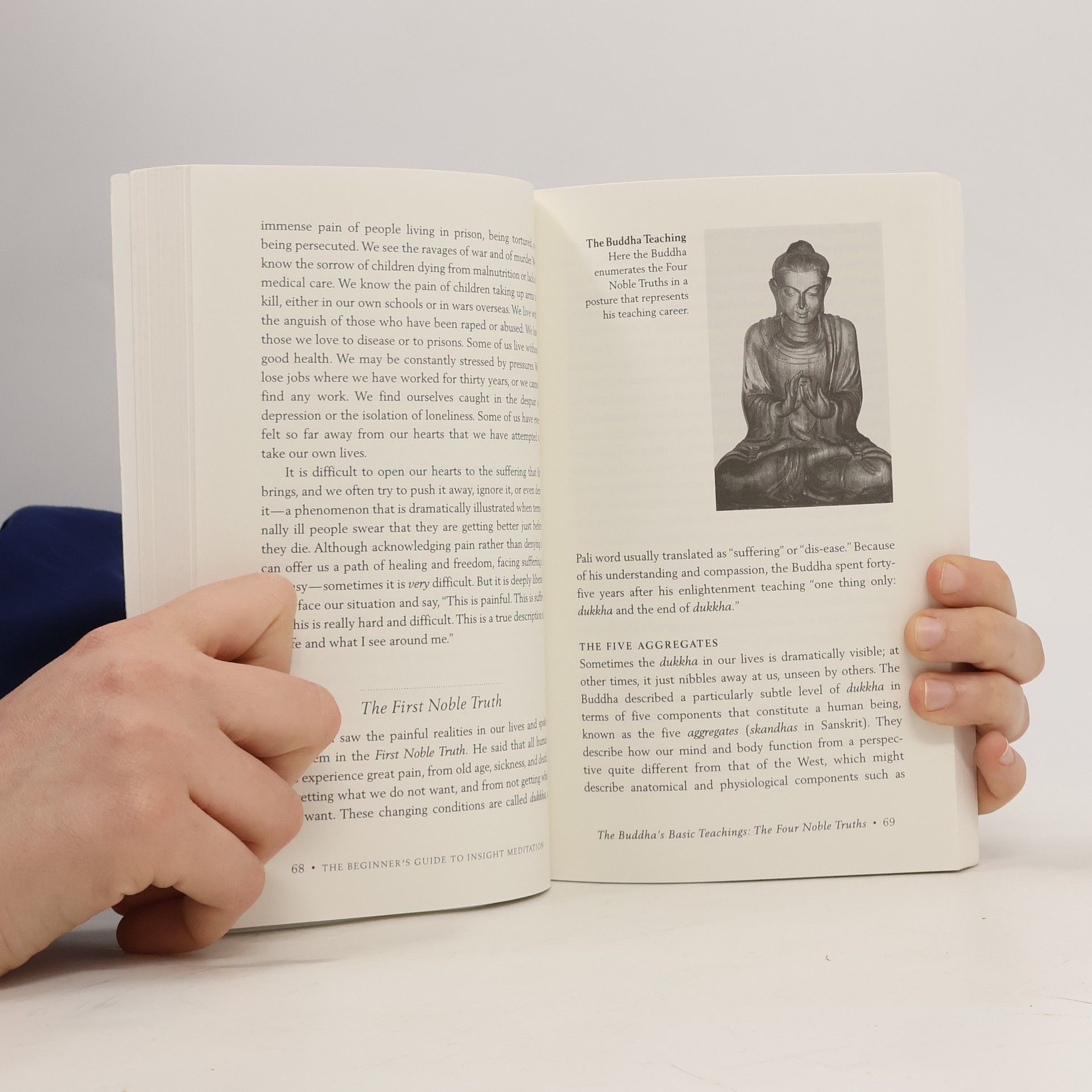 Arinna Weisman The Beginner's Guide to Insight Meditation