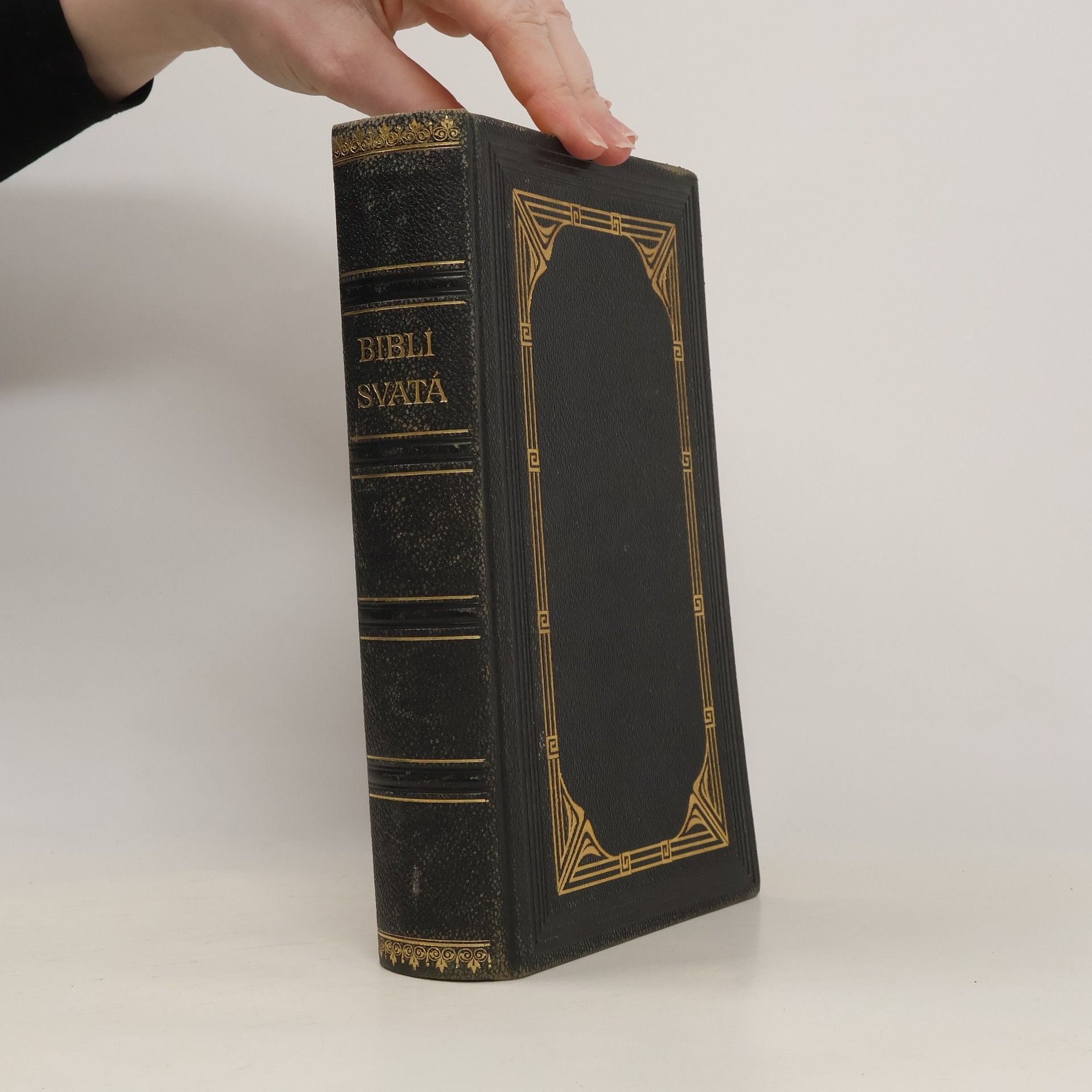 Kolektiv autorů Biblí Svatá