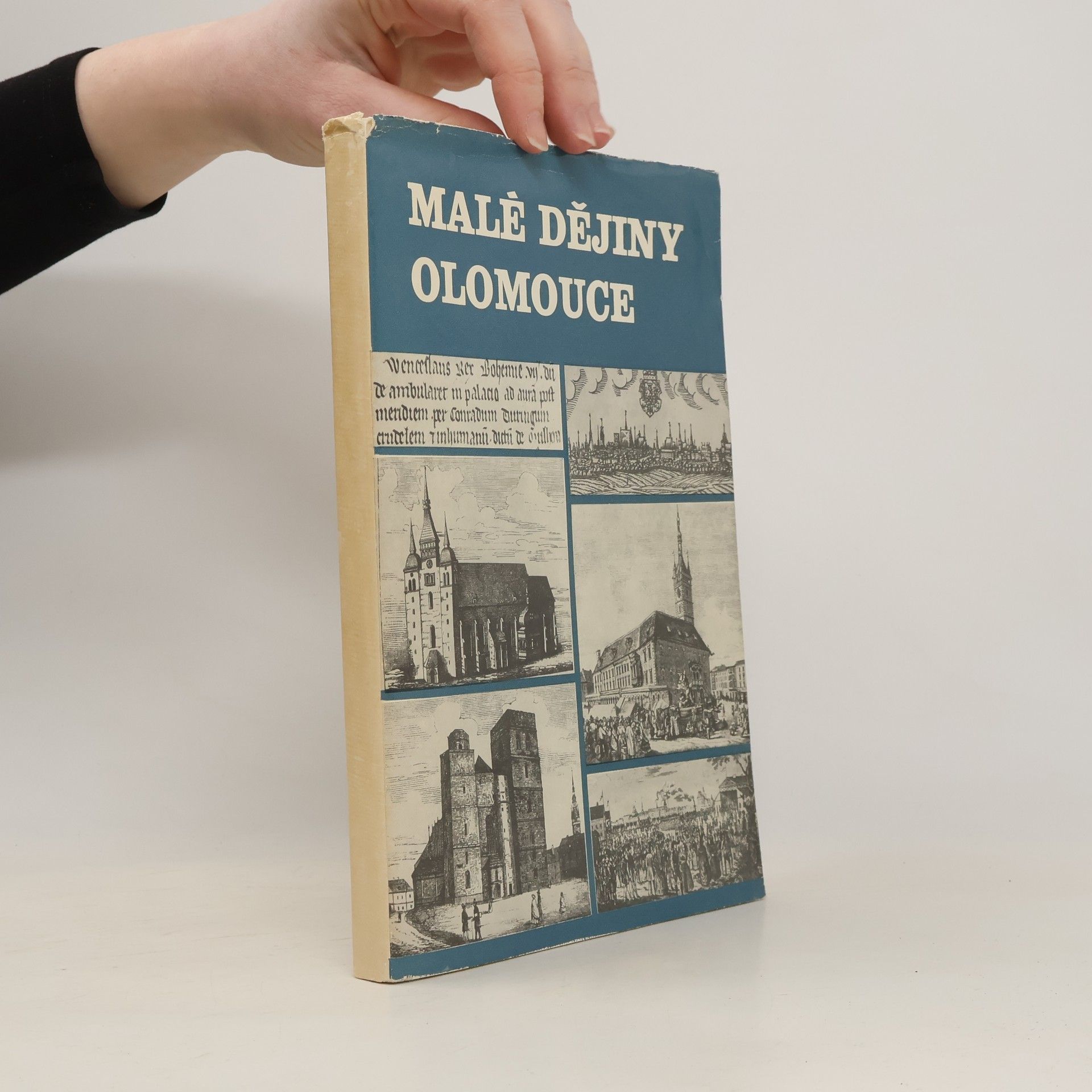 Josef Bartoš Malé Dějiny Olomouce