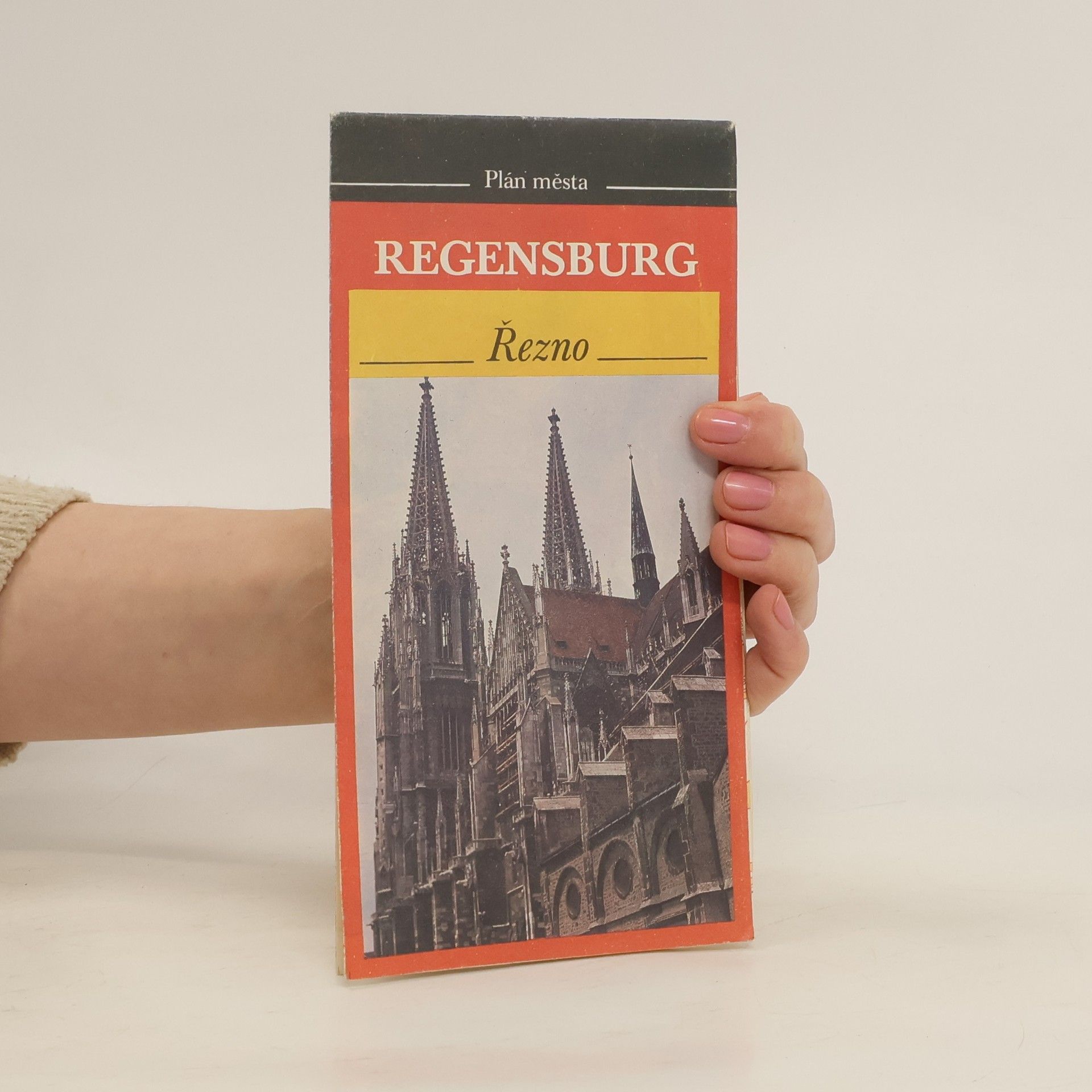 Collective Regensburg / Řezno - plán města