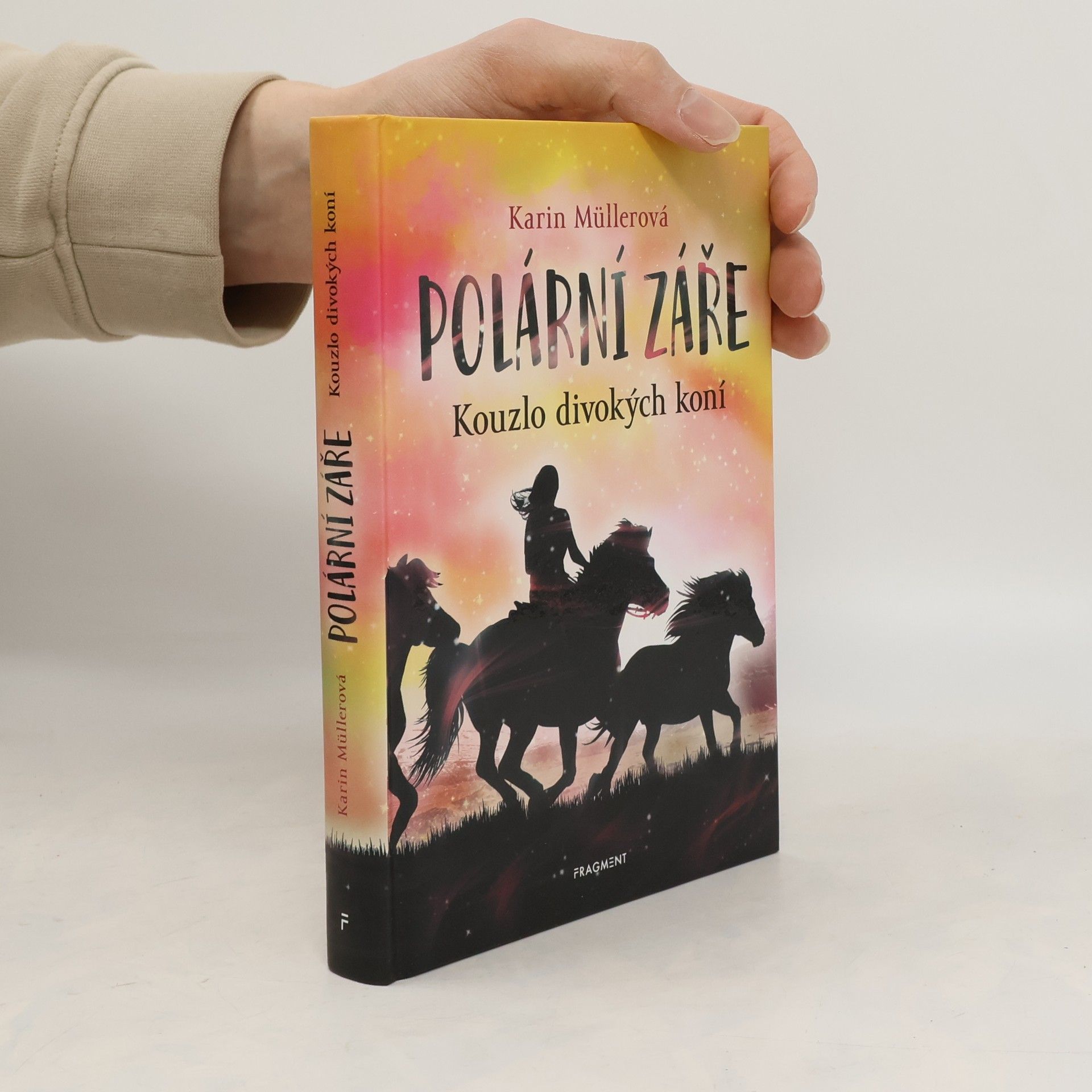Karin Müller Polární záře - Kouzlo divokých koní