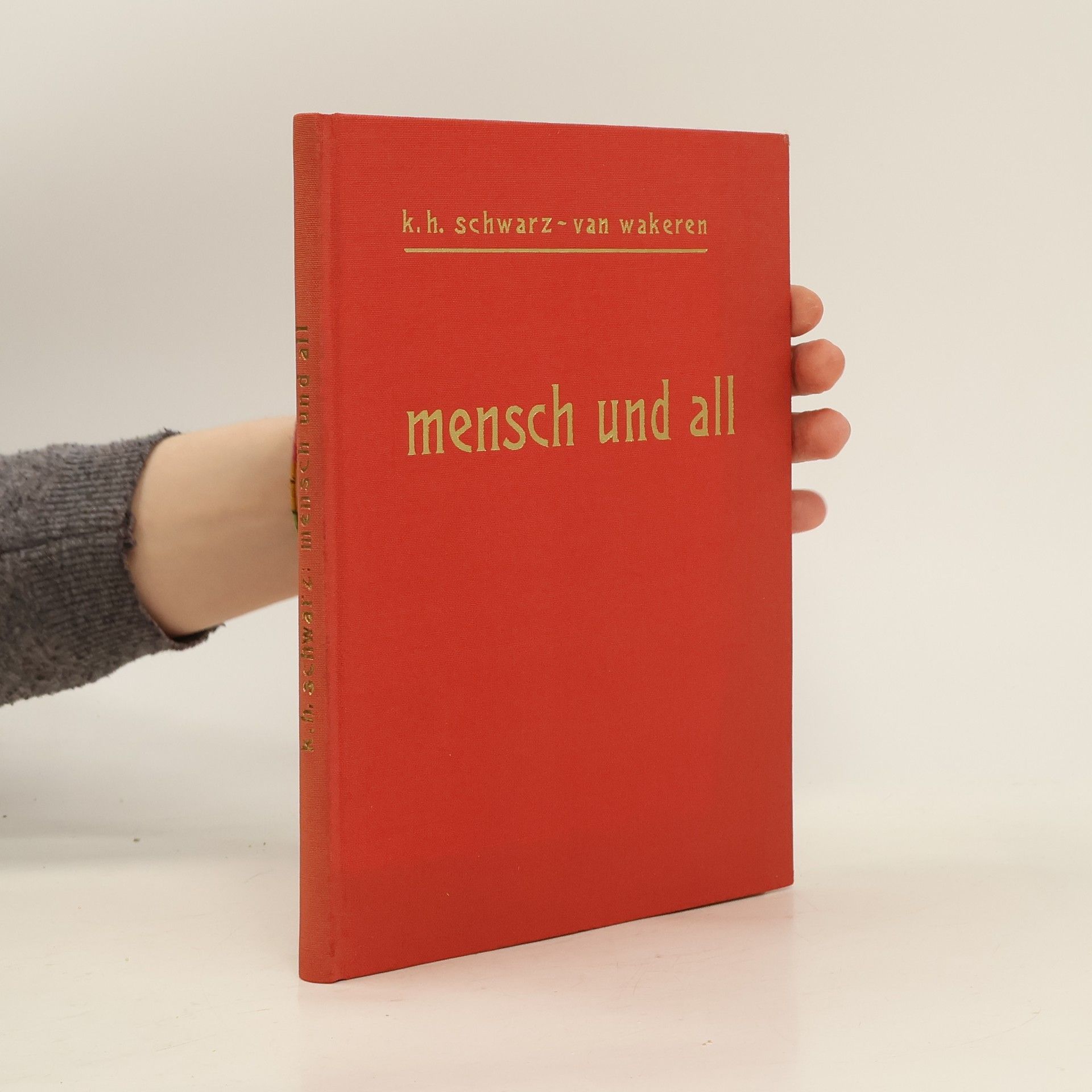 Karl Hermann Schwarz Mensch und All