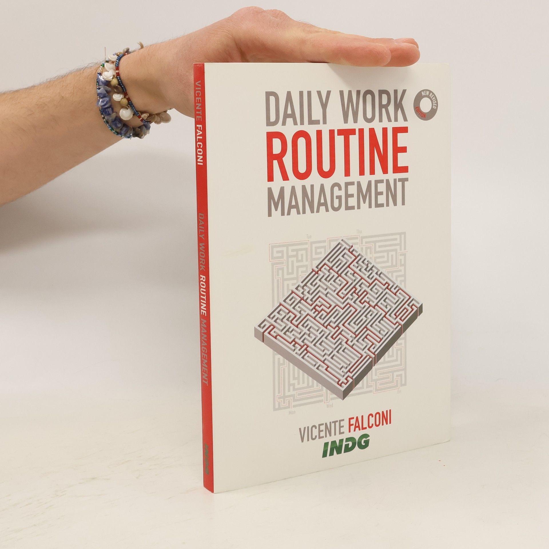 Vicente Falconi Daily Work Routine Management