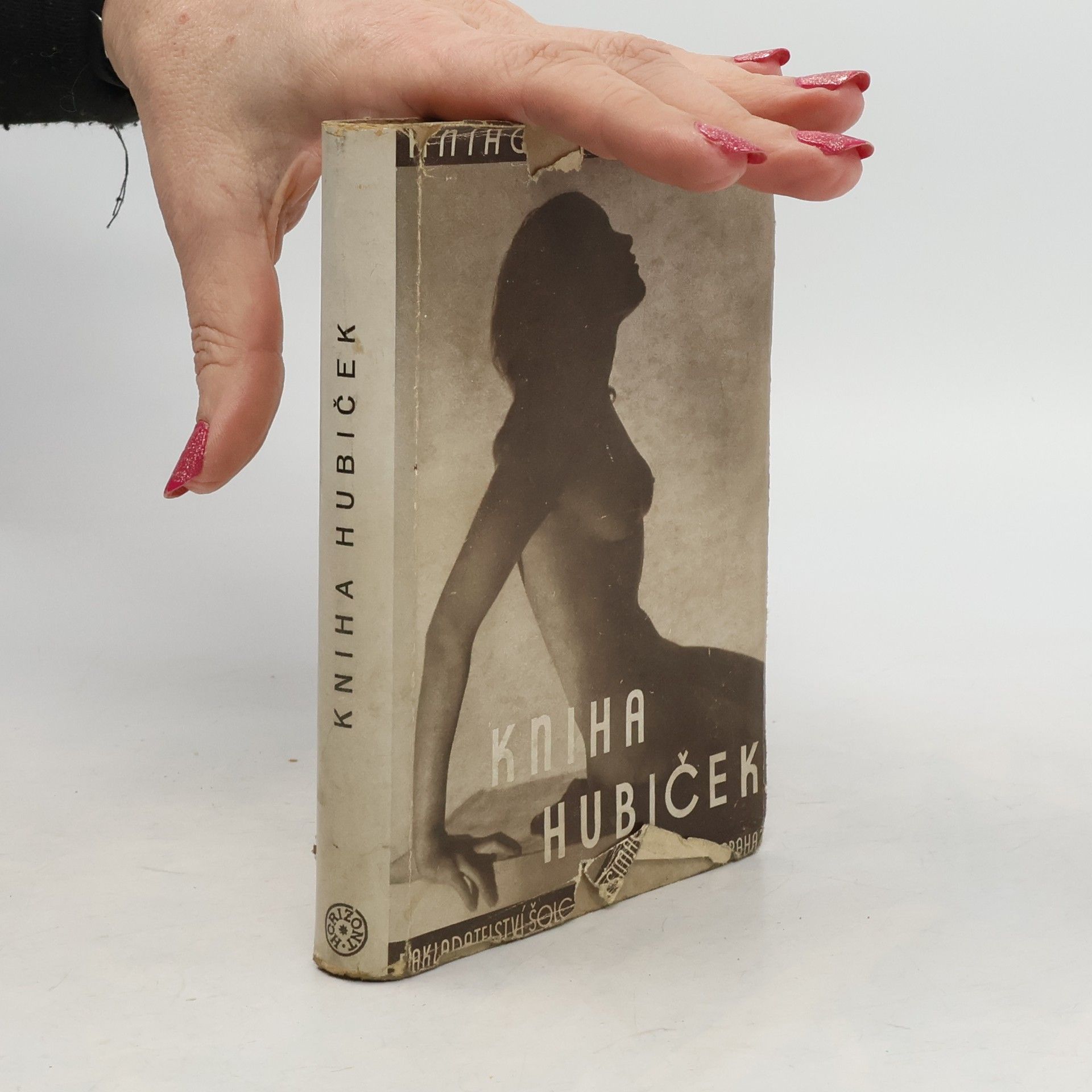 Autores varios Kniha hubiček