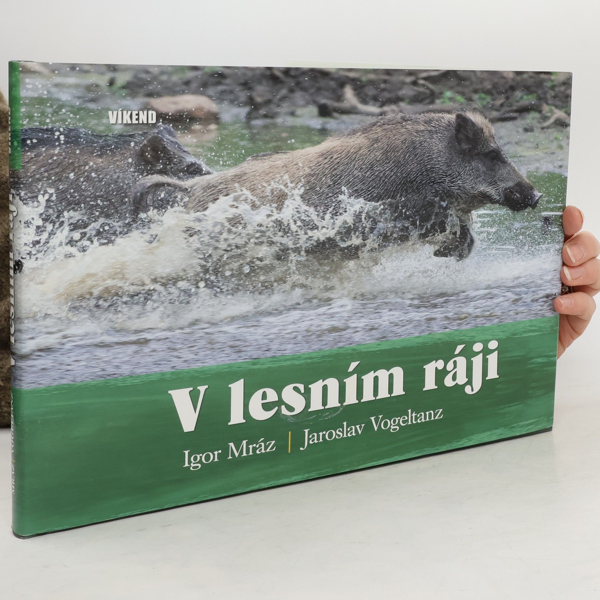 Igor Mráz V lesním ráji