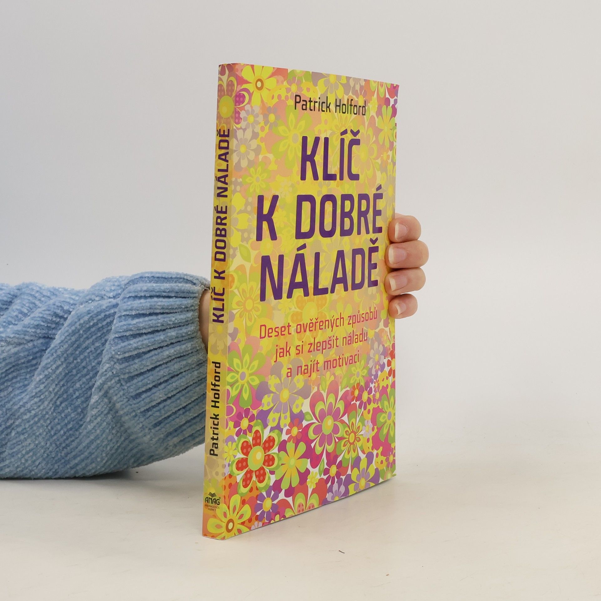 Patrick Holford Klíč k dobré náladě