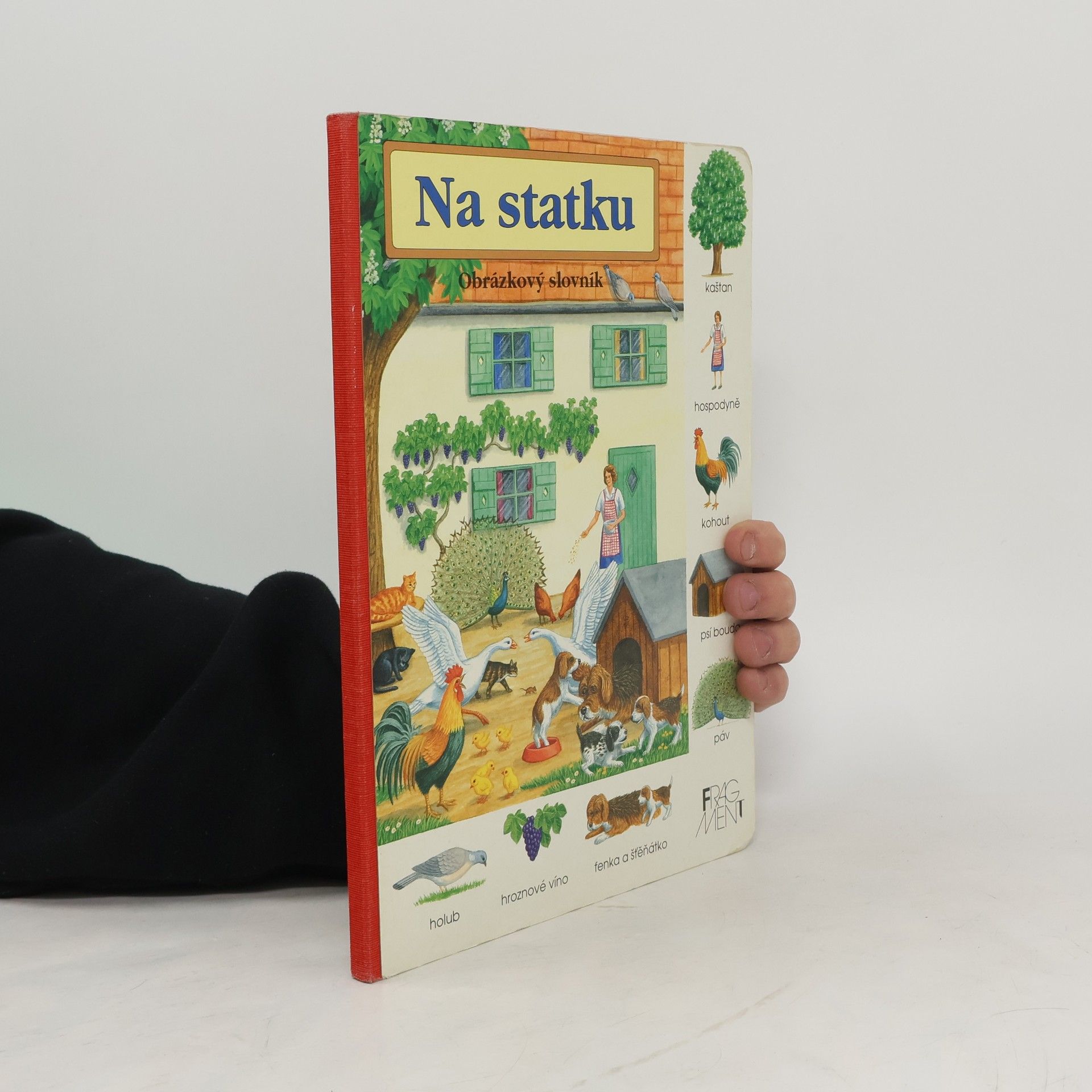 Kolektiv autorů Na statku - obrázkový slovník