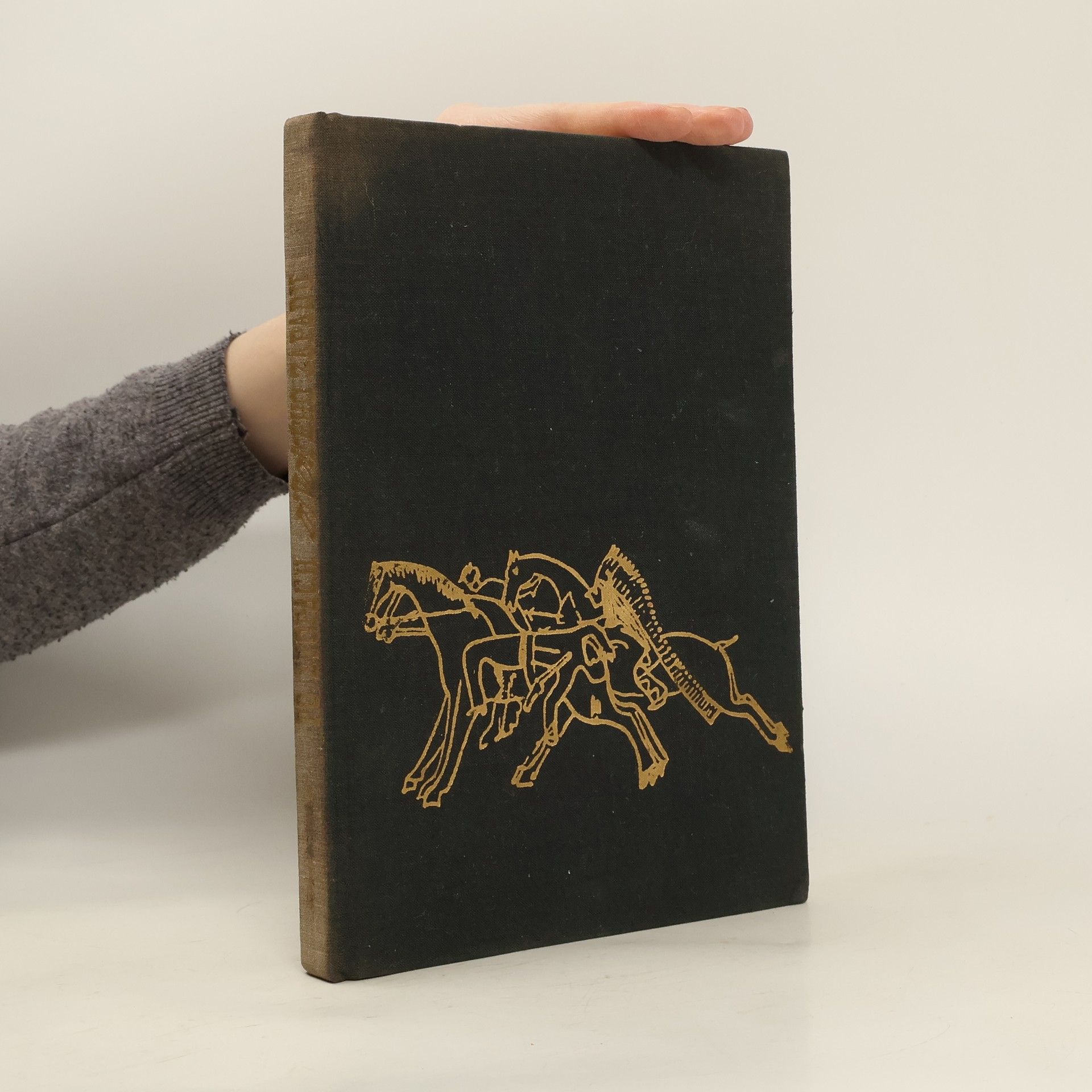 Jöe Hamman Po stopách Divokého západu