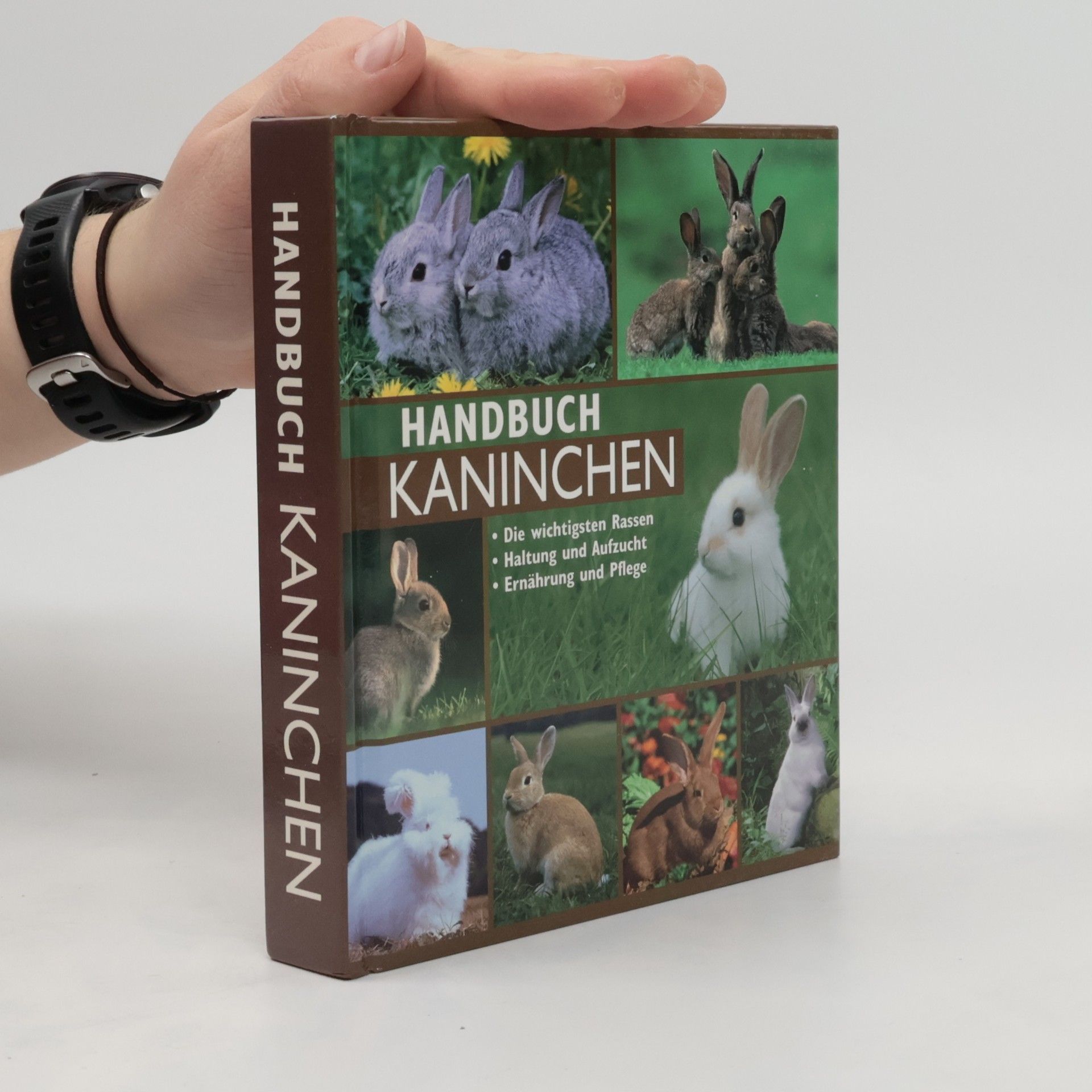 Autorenkollektiv Handbuch Kaninchen