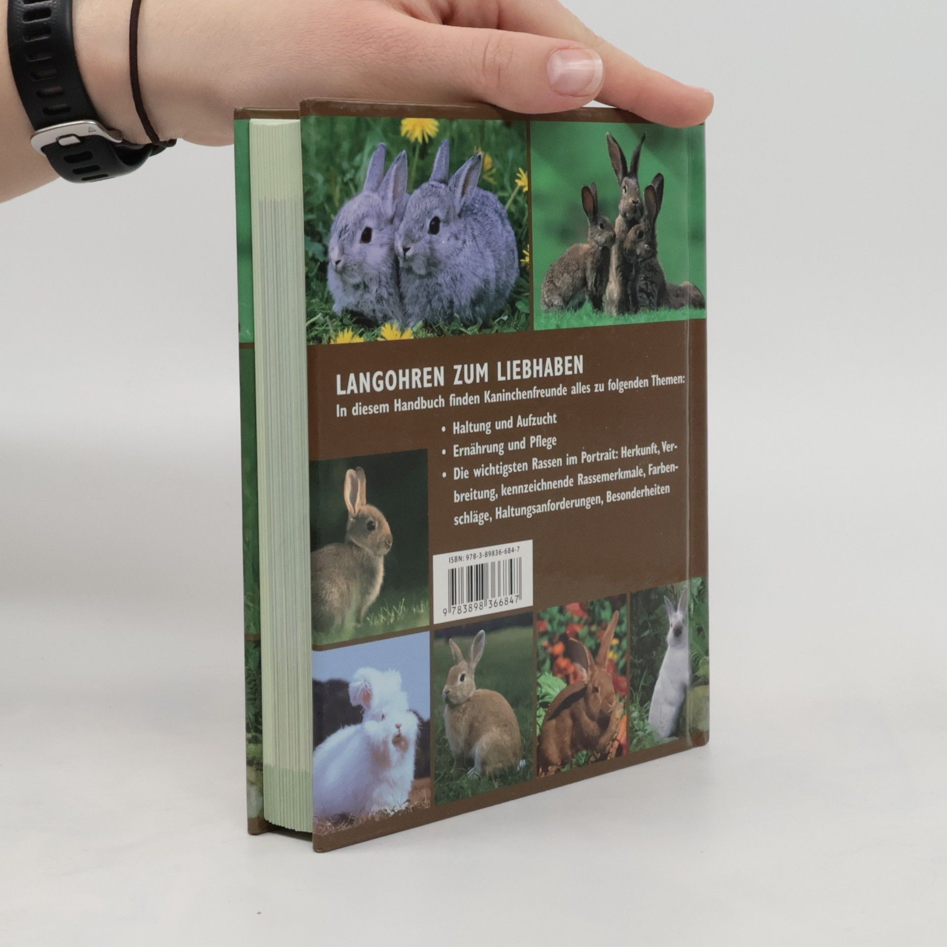 Autorenkollektiv Handbuch Kaninchen