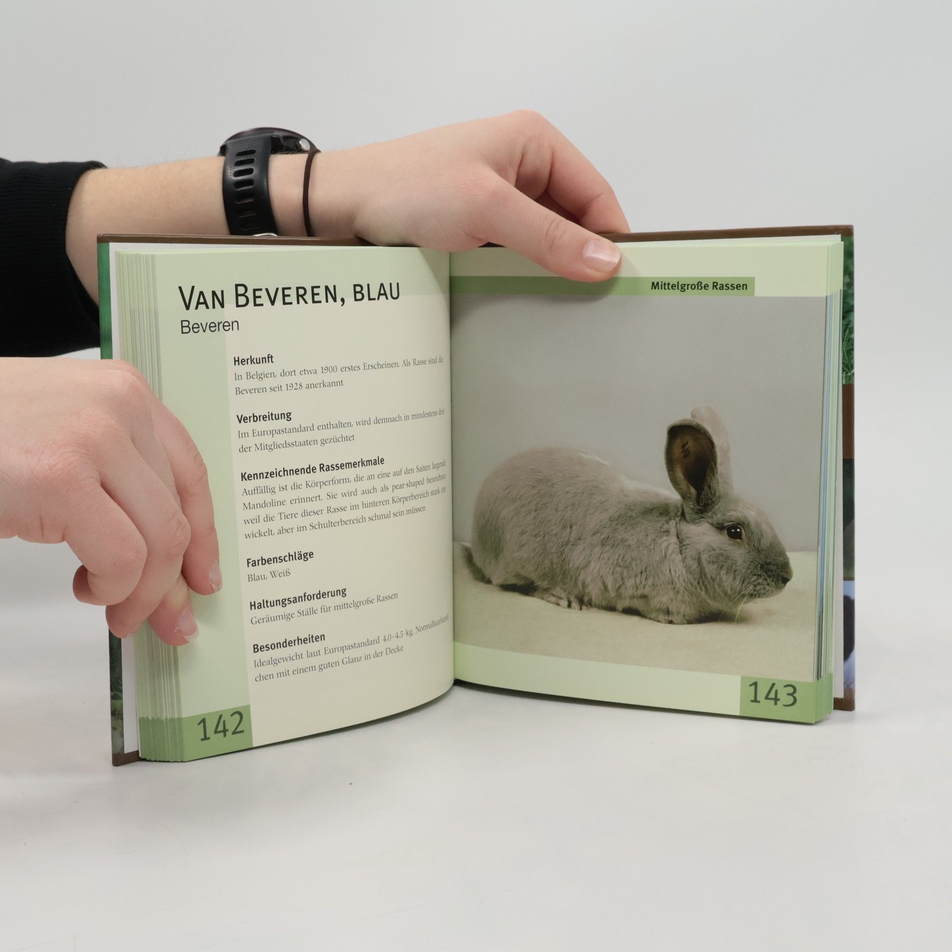 Autorenkollektiv Handbuch Kaninchen