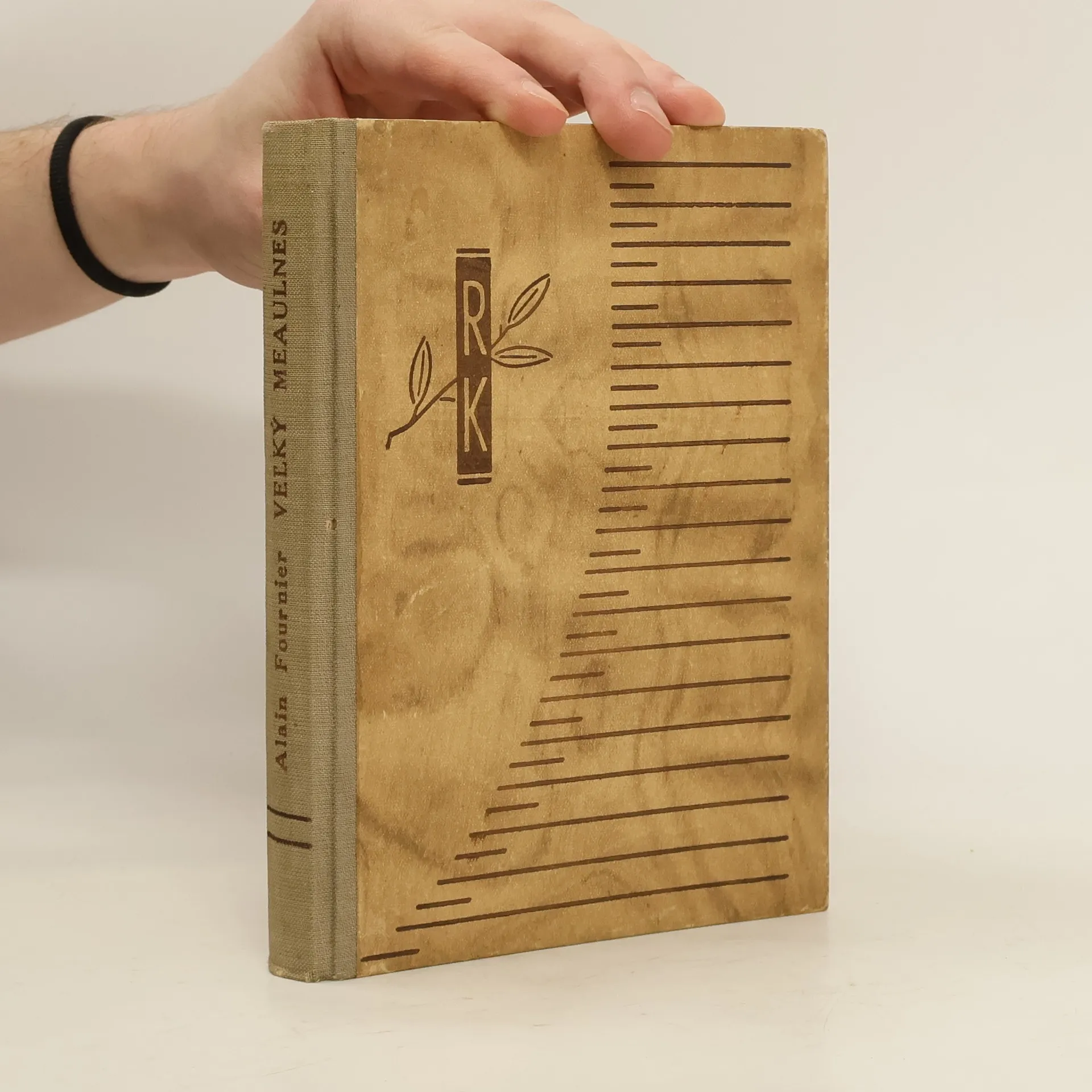Veľký Meaulnes | Book | Hardcover | AlainFournier | SK
