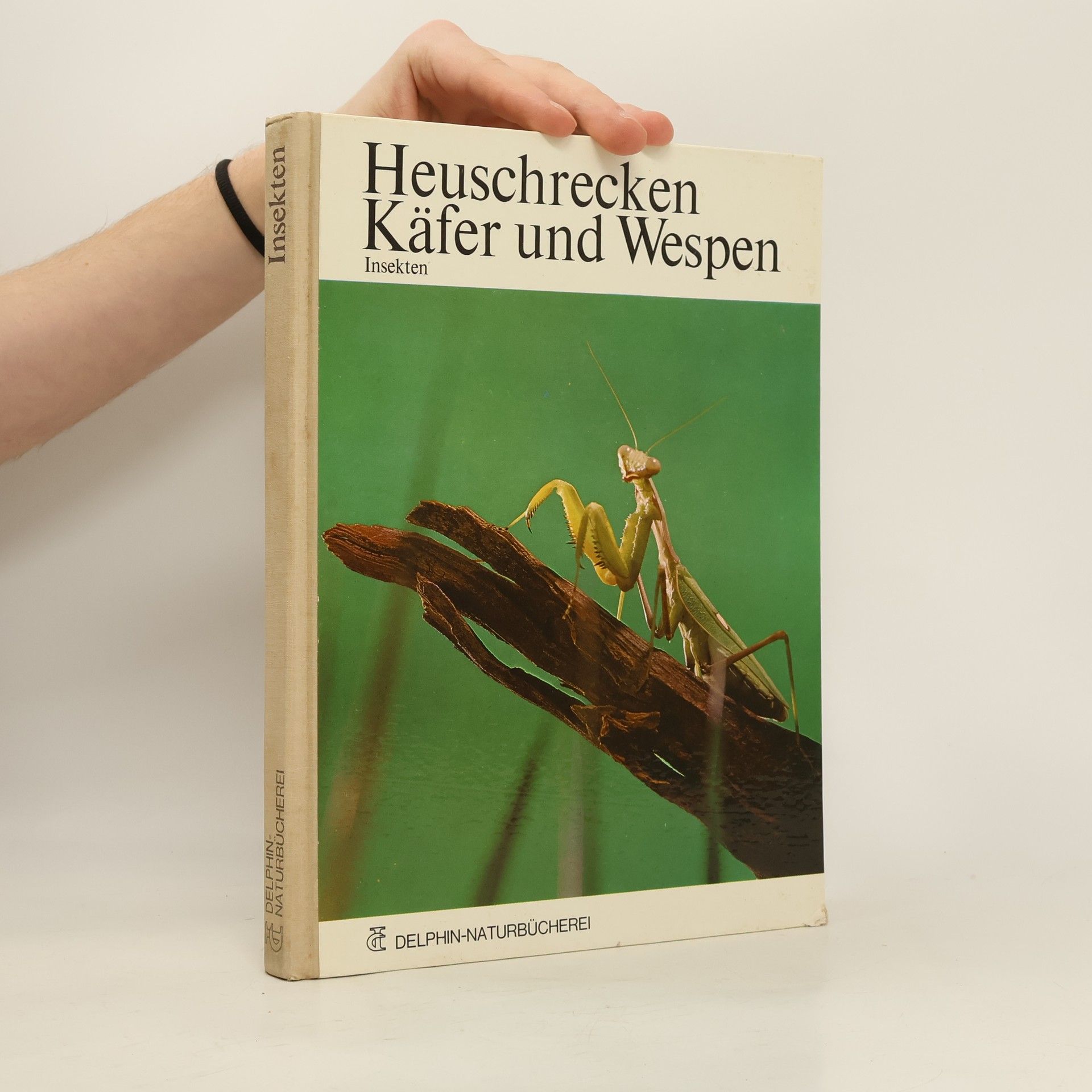 Collectif d'auteurs Heuschrecken, Käfer und Wespen. Insekten.