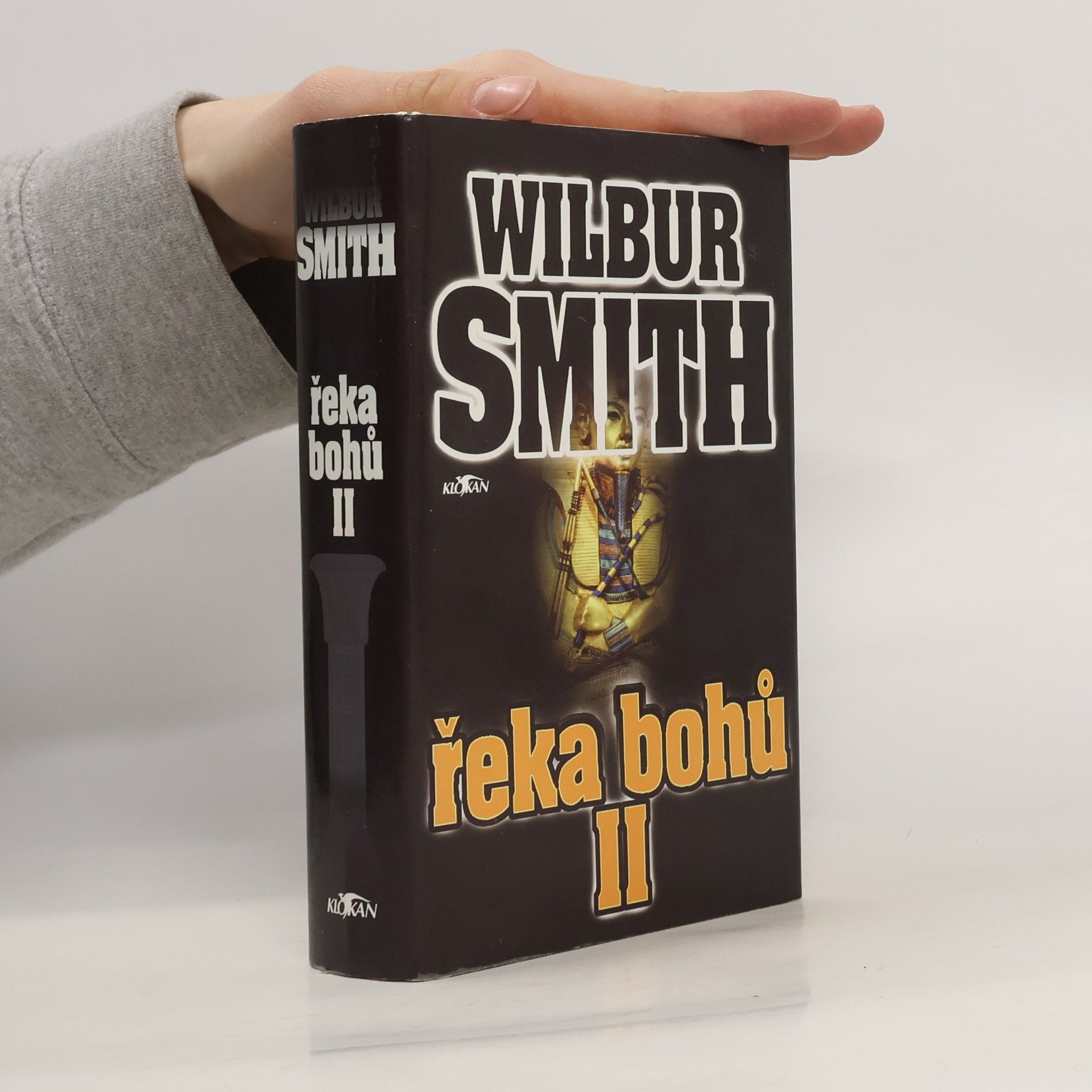 Wilbur Smith Řeka bohů II