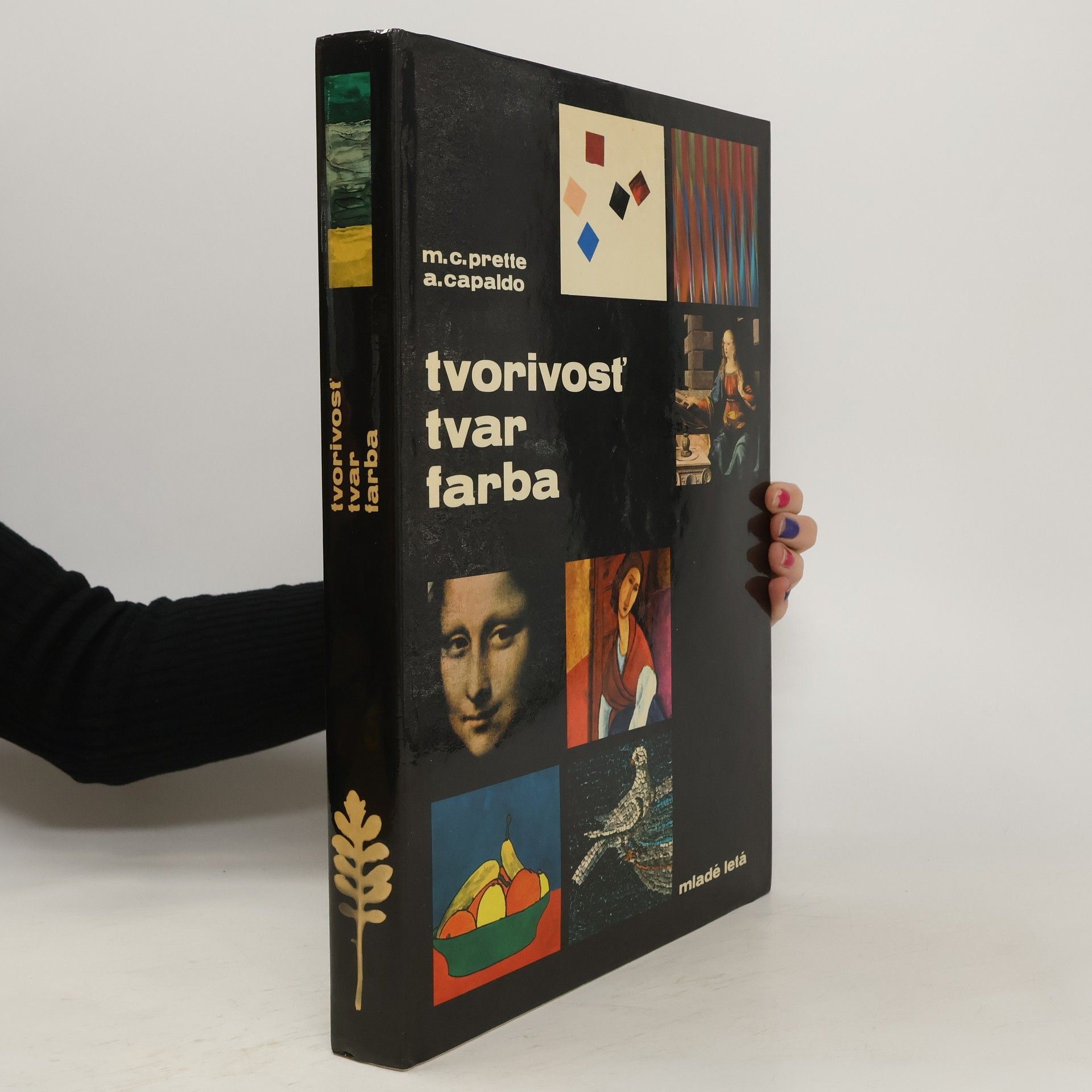Maria Carla Prette Tvorivosť, tvar, farba
