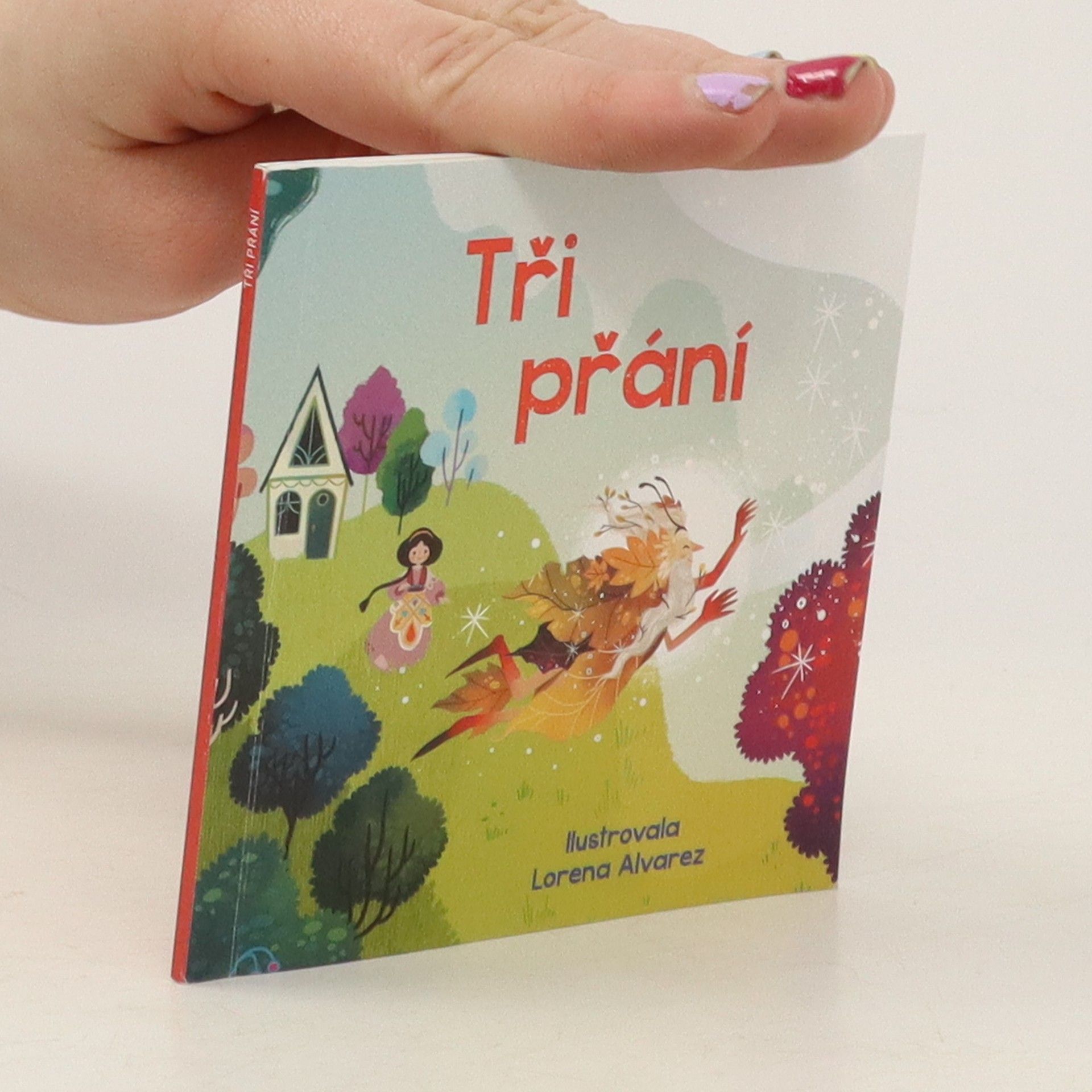 kolektiv Tři prání