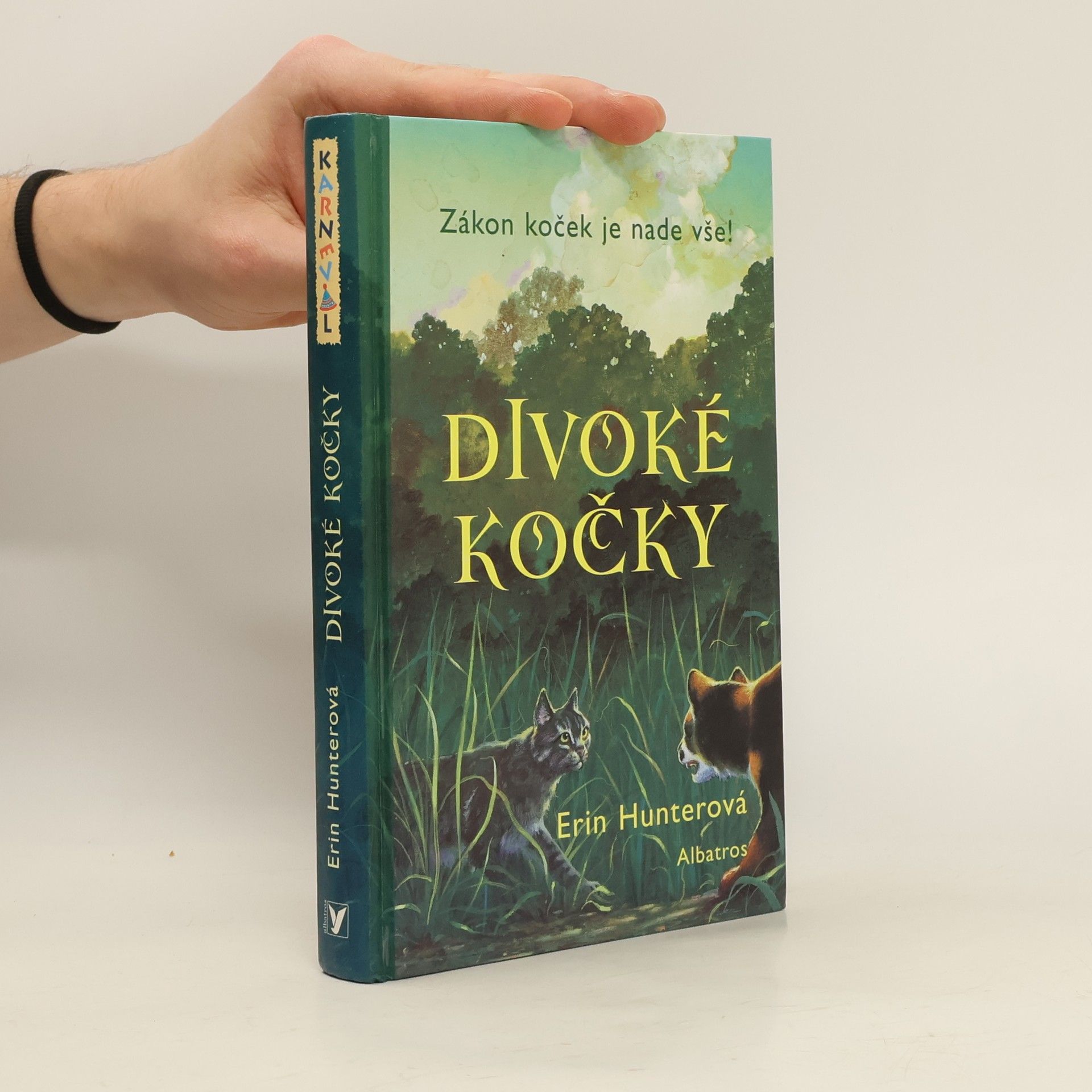 Erin Hunter Divoké kočky