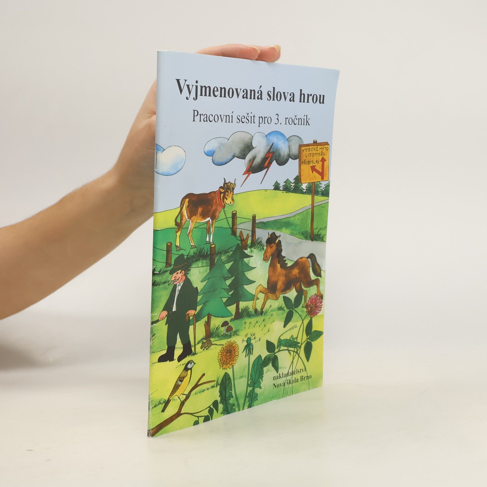 Autorenkollektiv Vyjmenovaná slova hrou. Pracovní sešit pro 3. ročník
