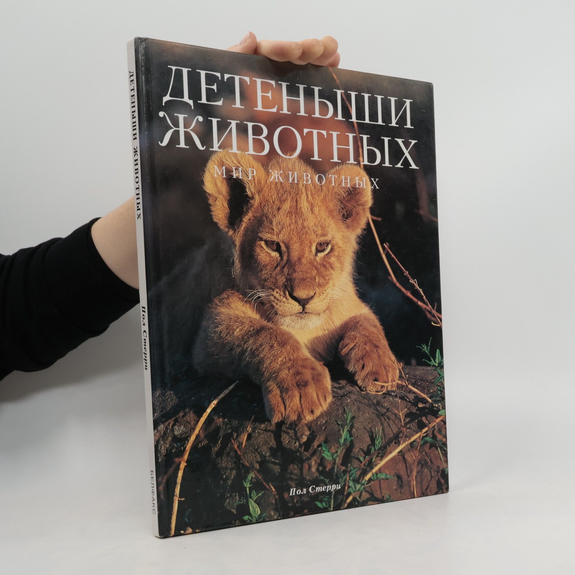 Пол Стерри Детеныши животных