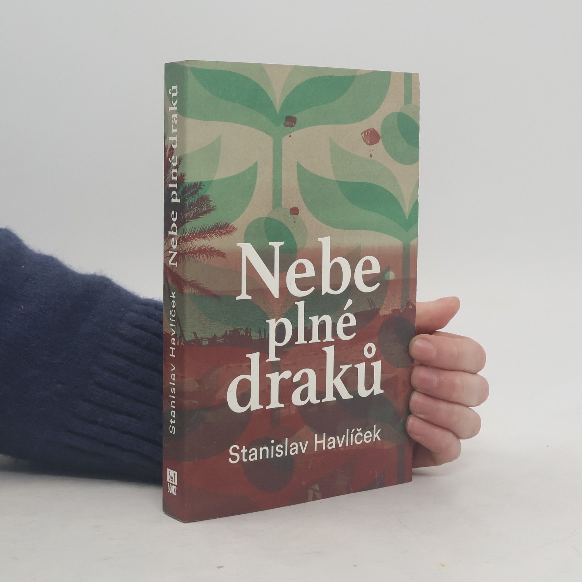 Stanislav Havlíček Nebe plné draků
