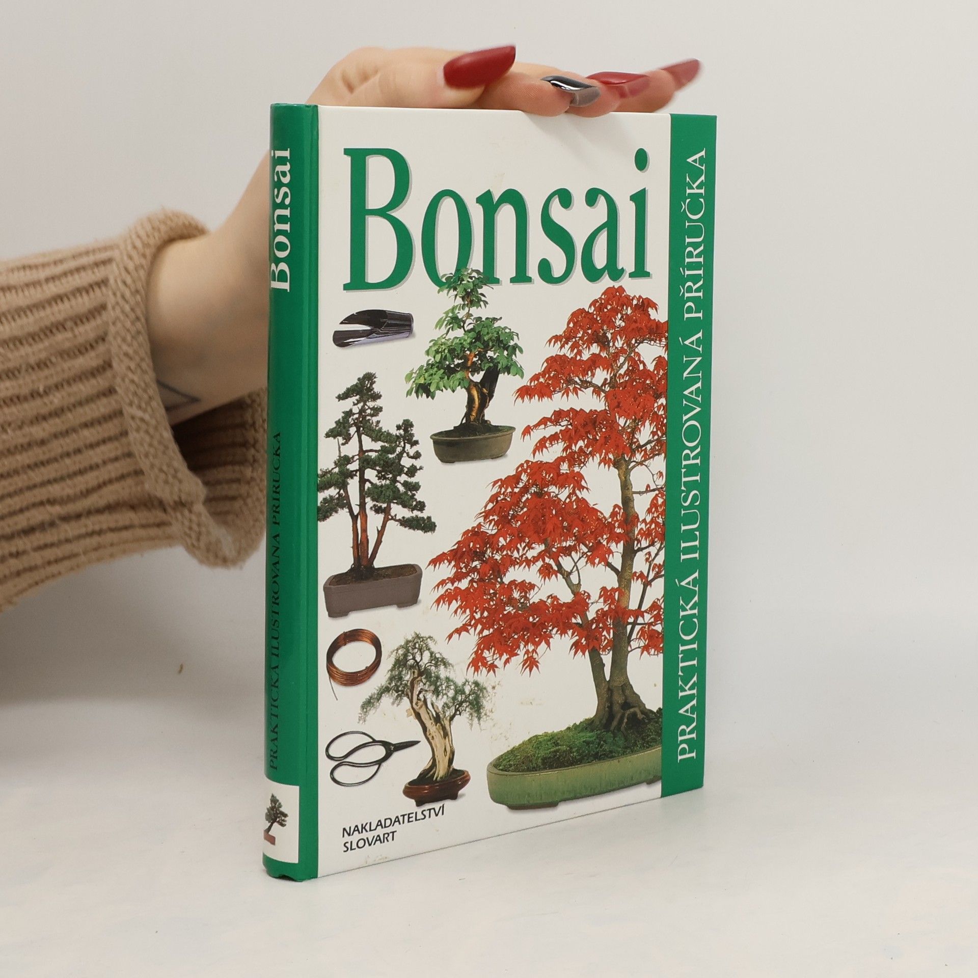 Dana Wiesnerová Bonsai. Praktická ilustrovaná příručka