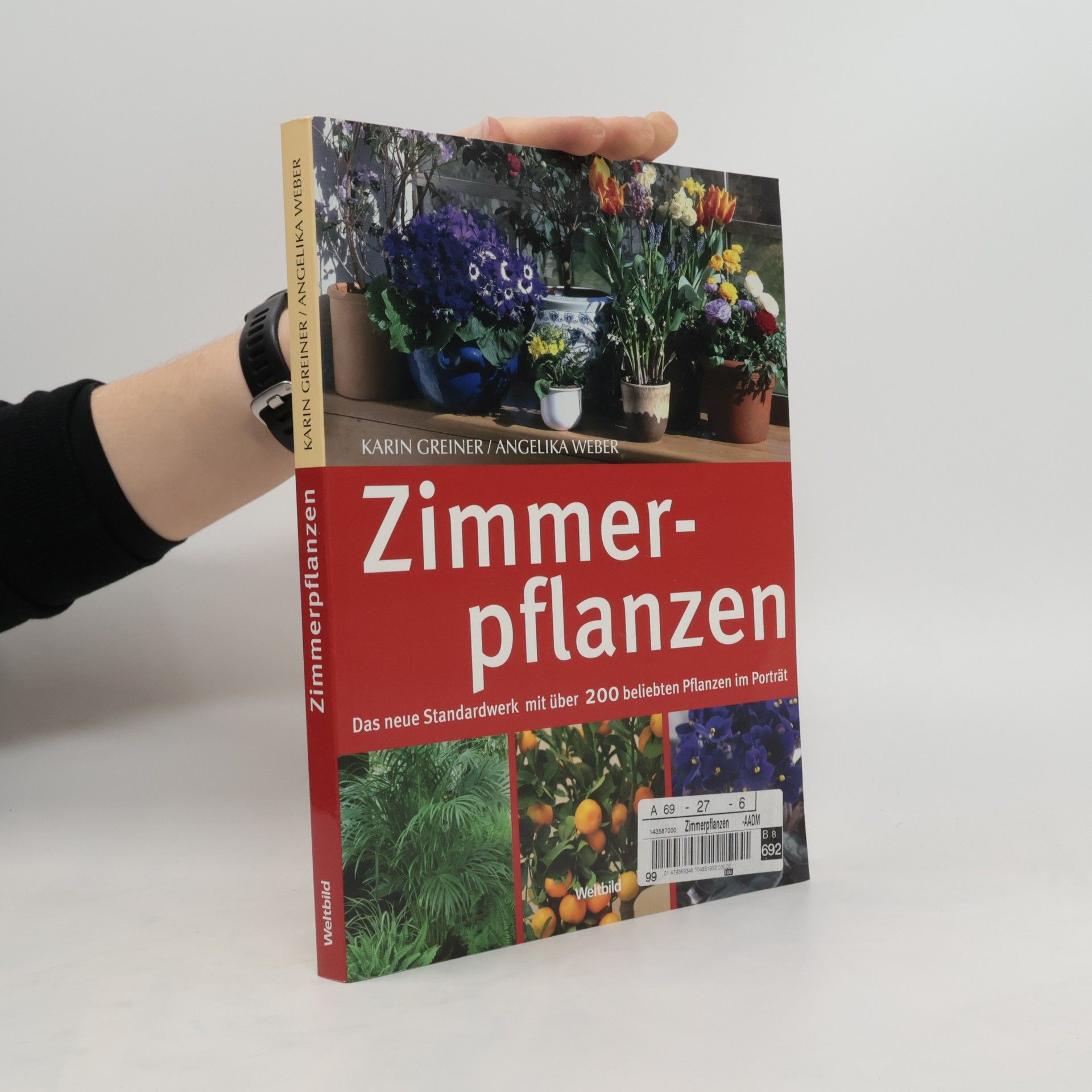 Karin Greiner Zimmerpflanzen